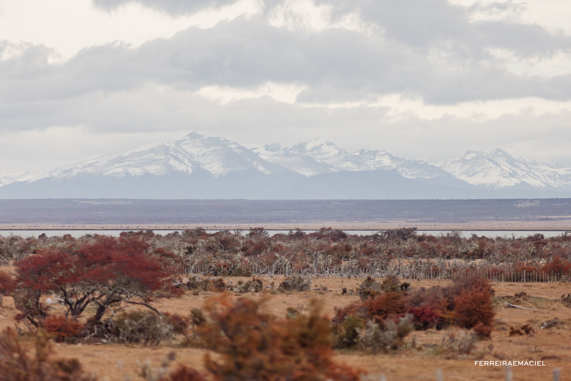 Patagonia - Parte Um - Fotografando um casamento em Torres del Paine - Chile - 24 - 1
