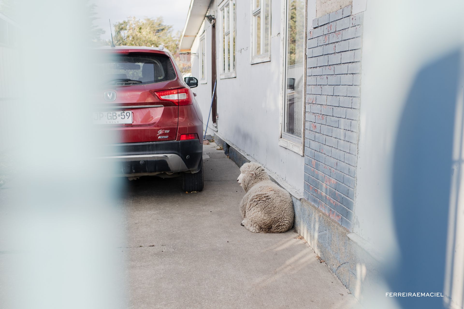 Patagonia - Parte Um - Fotografando um casamento em Torres del Paine - Chile - 33 - 3
