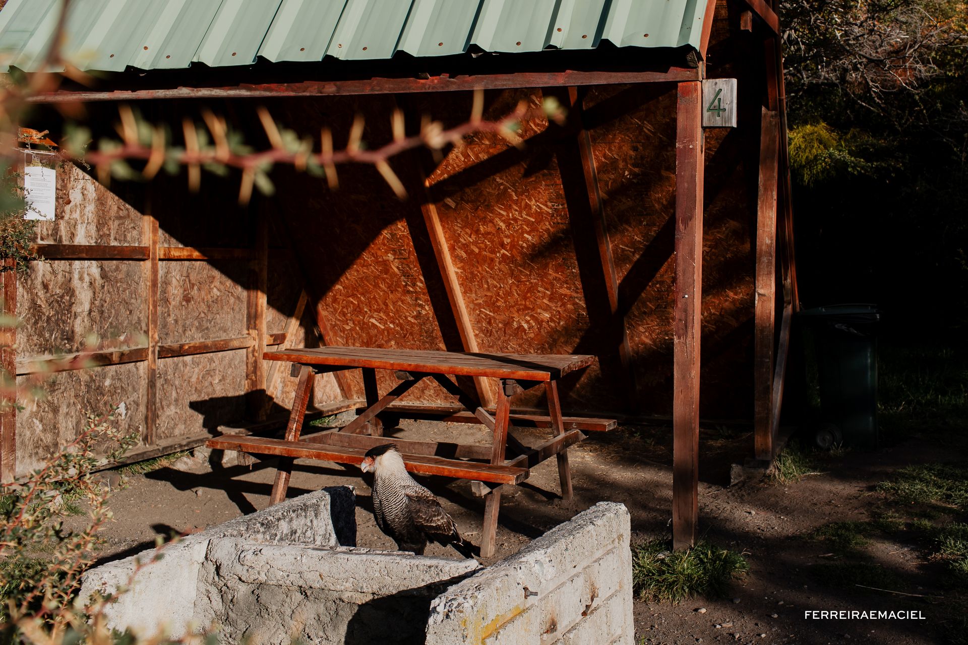 Patagonia - Parte Um - Fotografando um casamento em Torres del Paine - Chile - 61 - 0