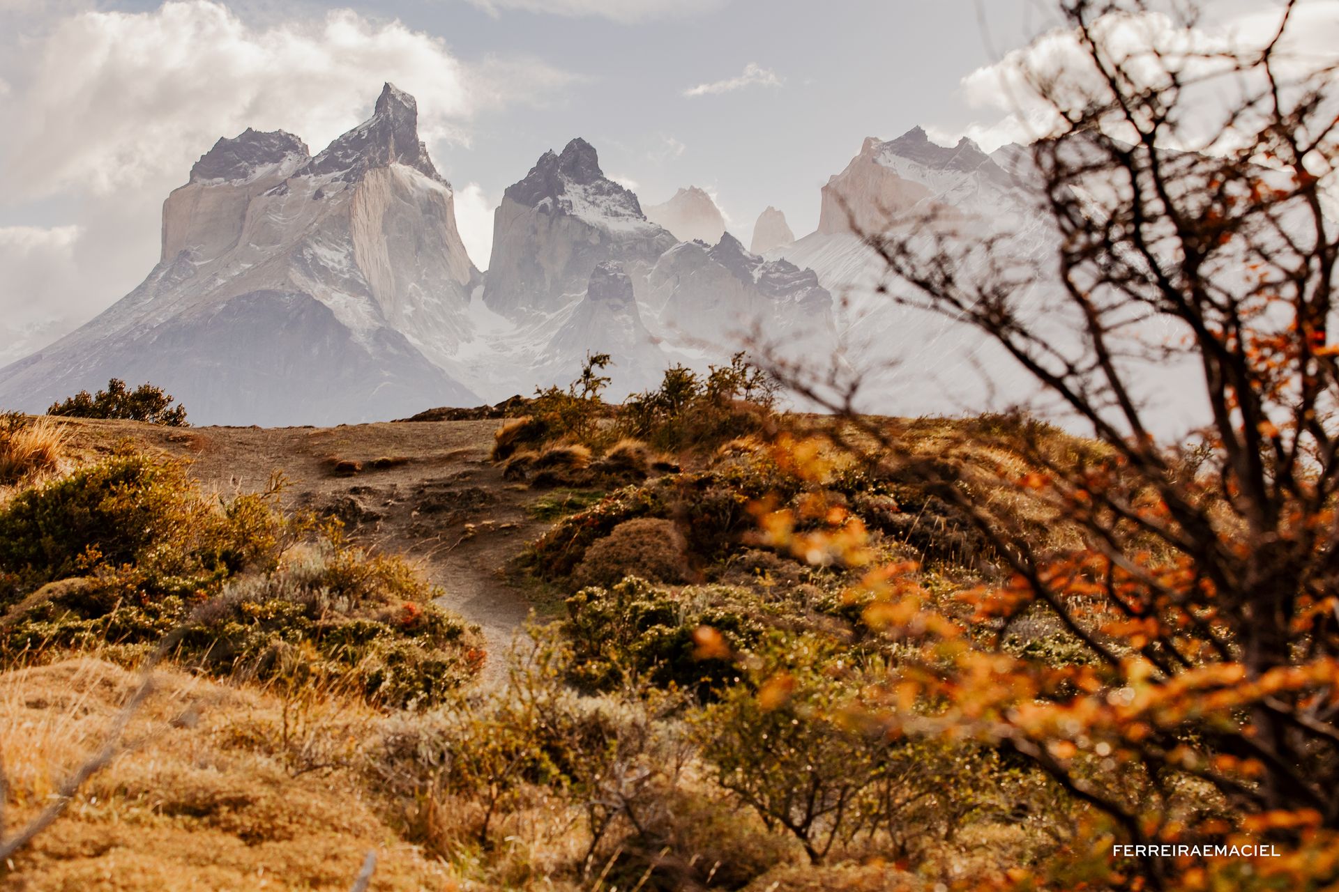 Patagonia - Parte Um - Fotografando um casamento em Torres del Paine - Chile - 67 - 4