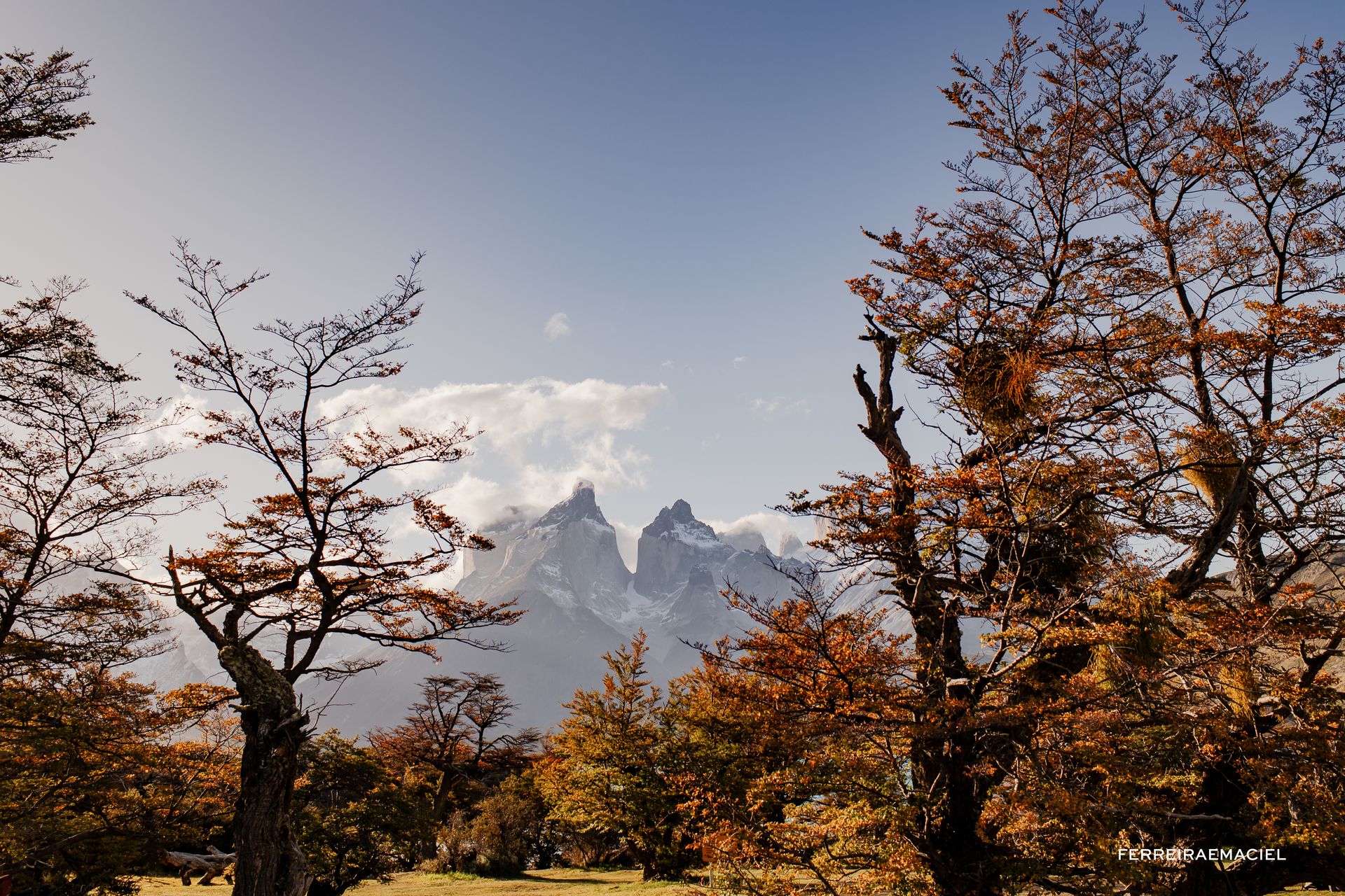 Patagonia - Parte Um - Fotografando um casamento em Torres del Paine - Chile - 58