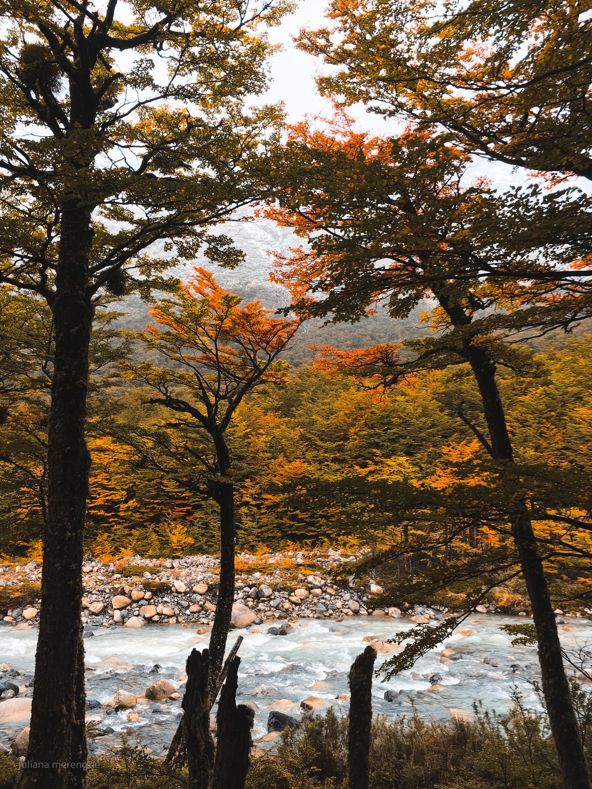 Torres del Paine - Circuito O - 8 - 17