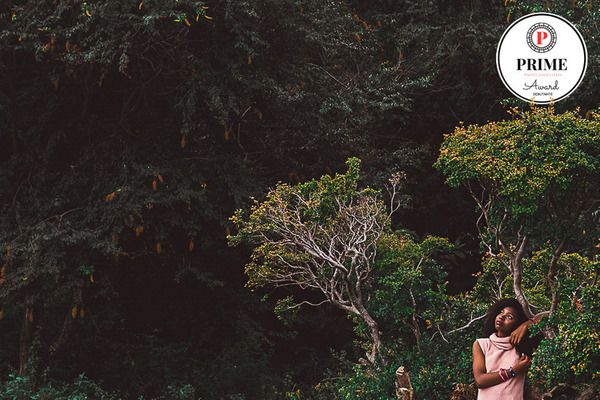 8ª Coleção Prime Photo Association - 2 - 1