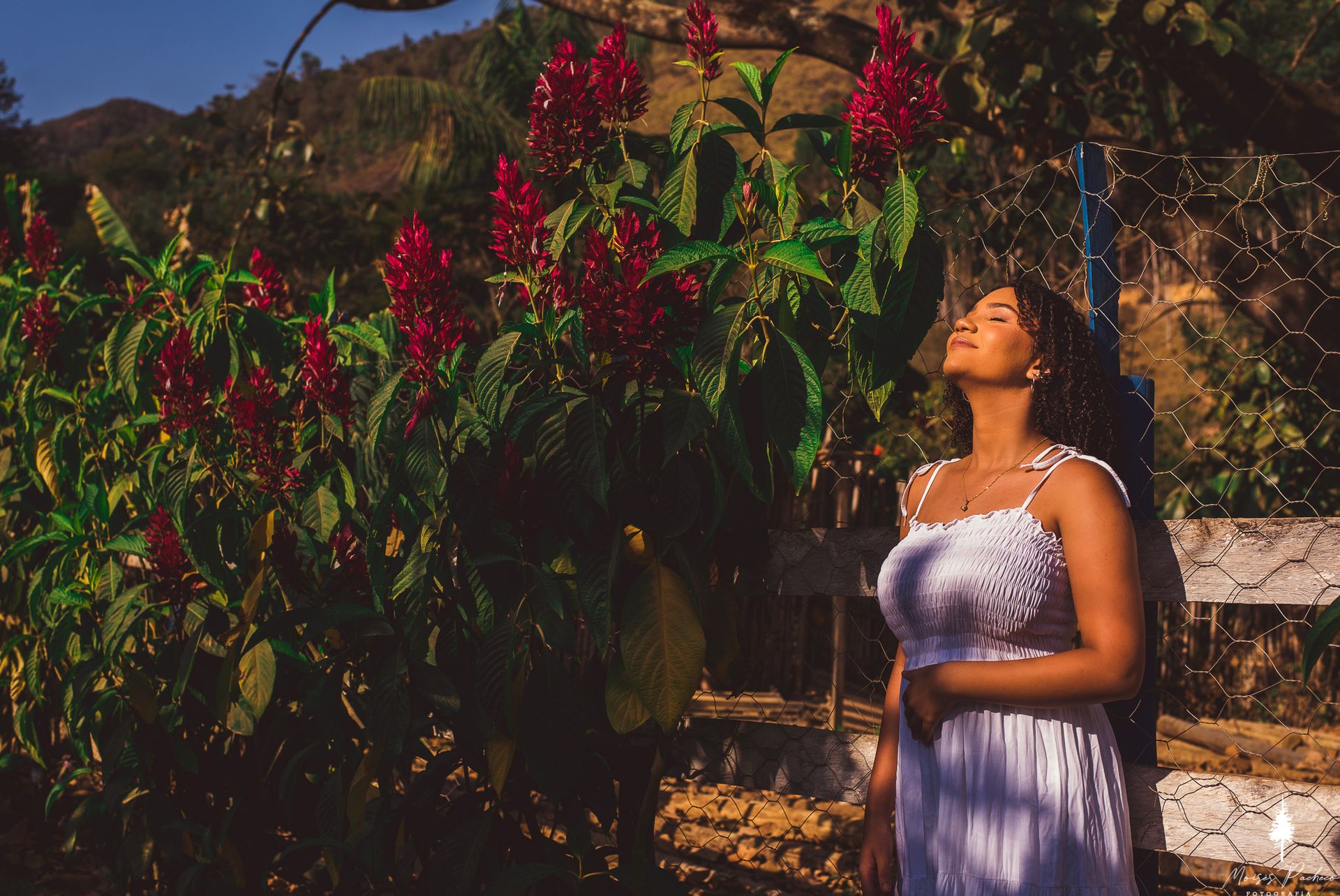ENSAIO DE 15 ANOS NA SERRA DOS COCAIS - 1 - 6