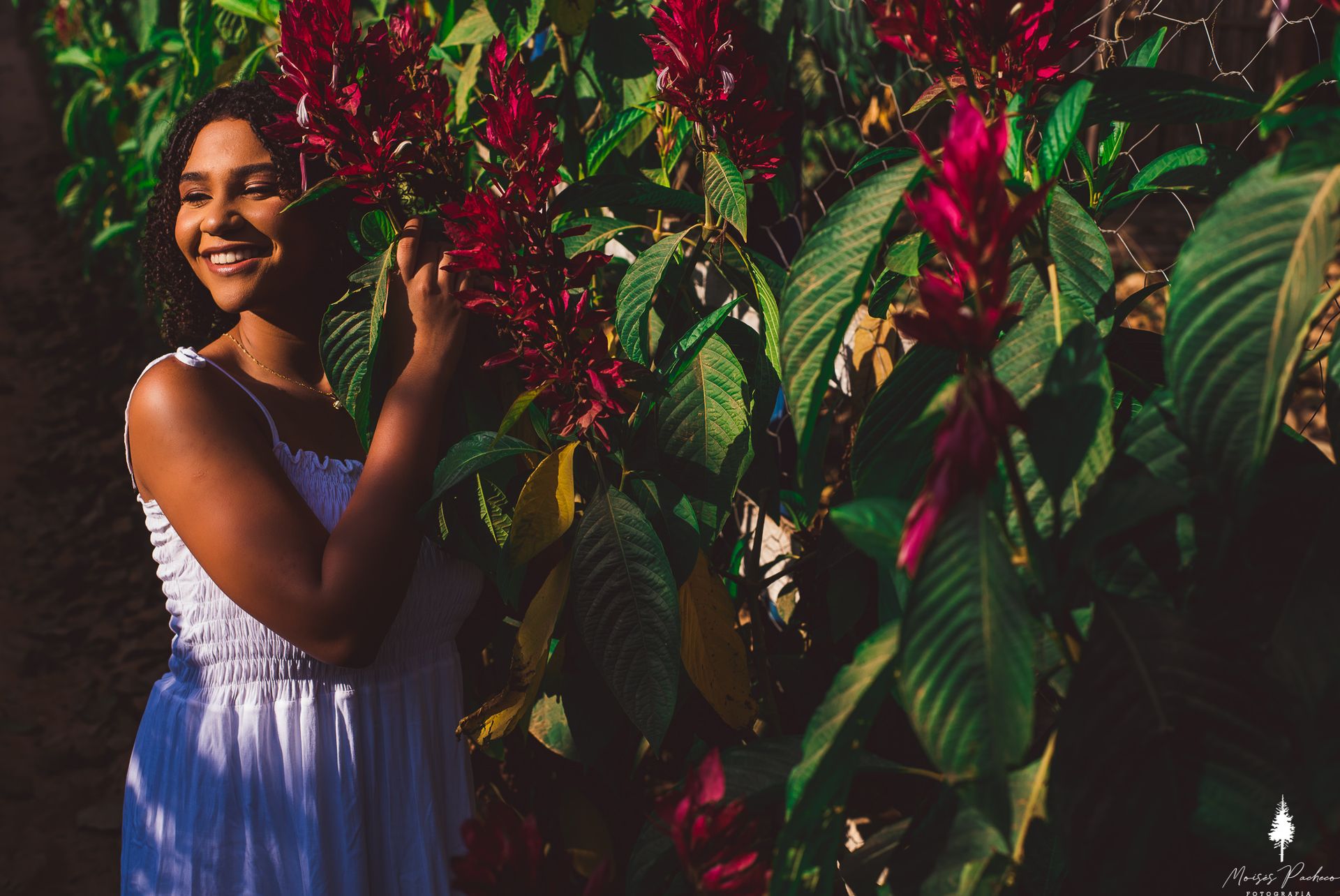 ENSAIO DE 15 ANOS NA SERRA DOS COCAIS - 1 - 7