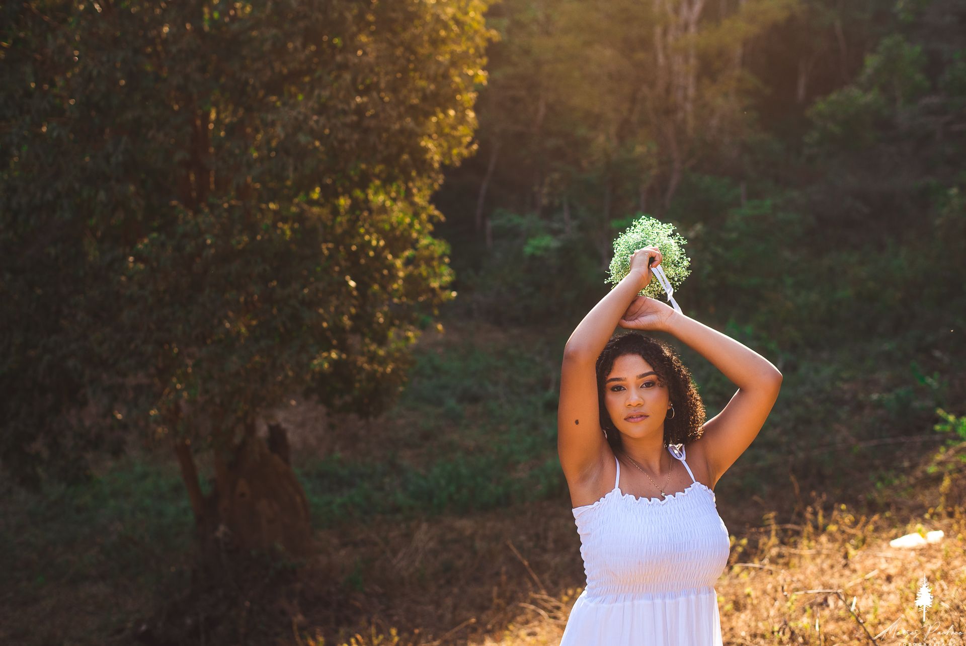 ENSAIO DE 15 ANOS NA SERRA DOS COCAIS - 1 - 8