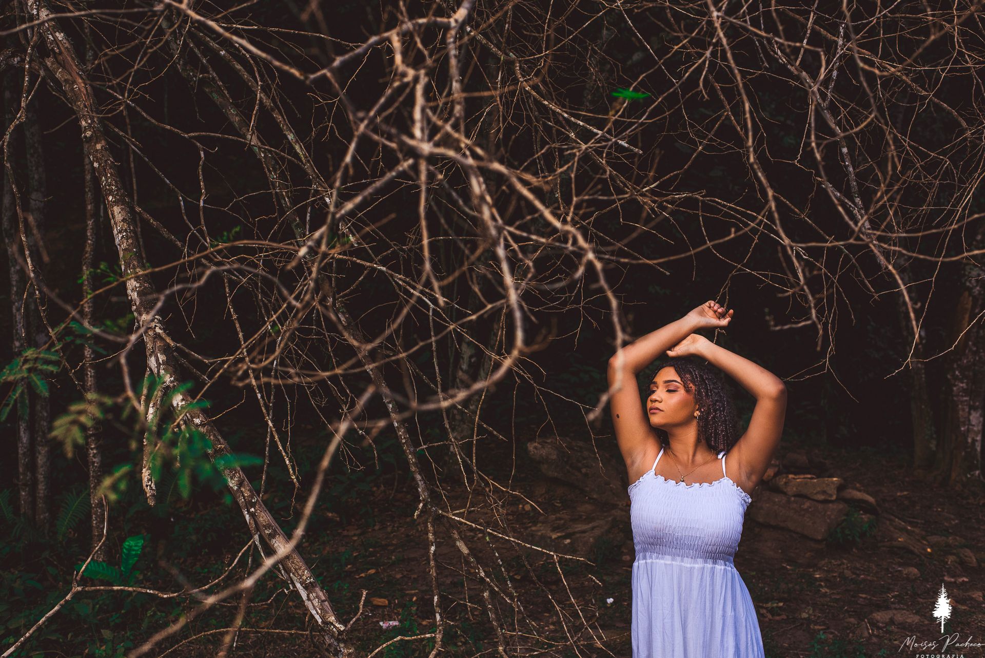 ENSAIO DE 15 ANOS NA SERRA DOS COCAIS - 1 - 13