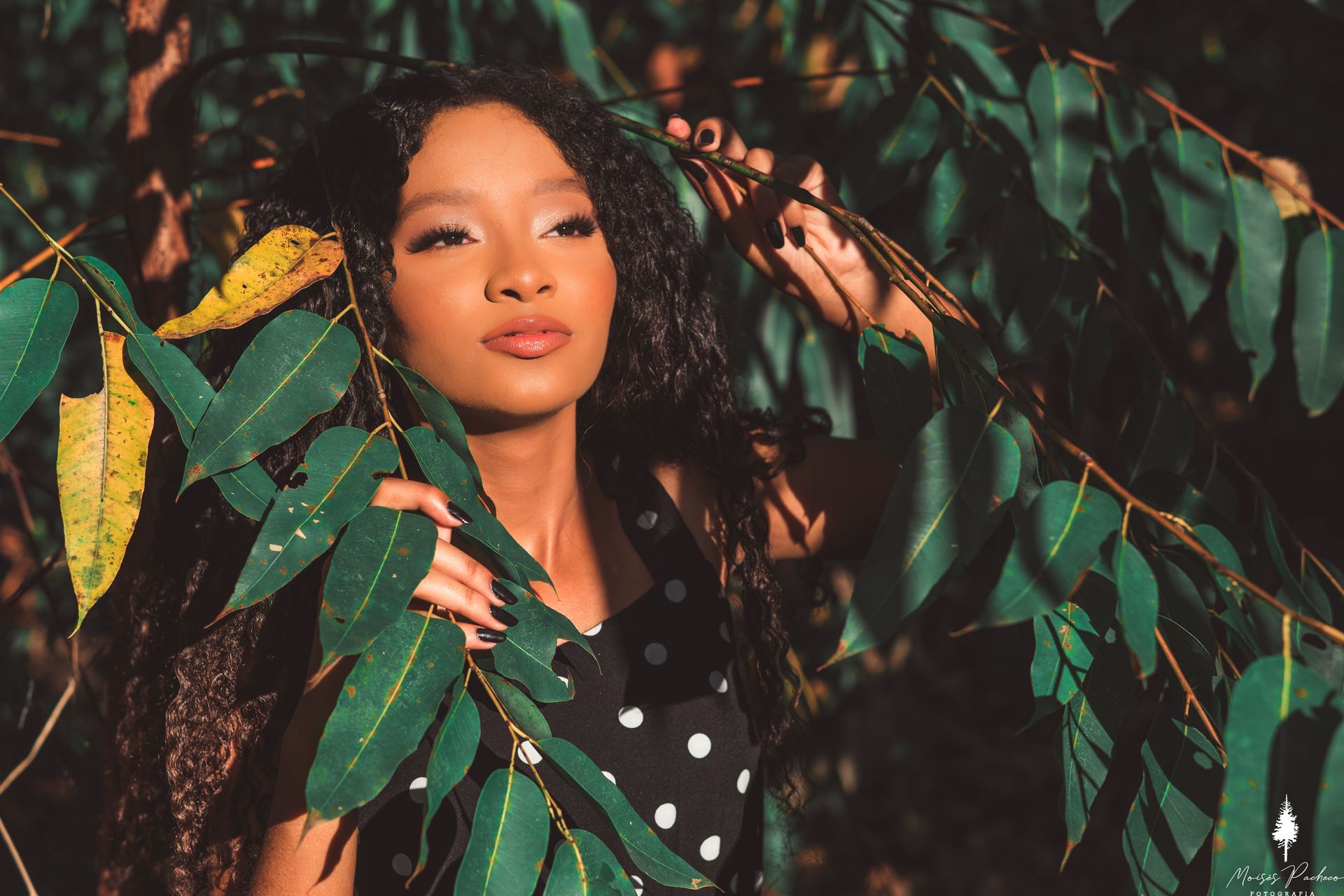 Ensaio de 15 anos nos Eucaliptos - 2 - 12