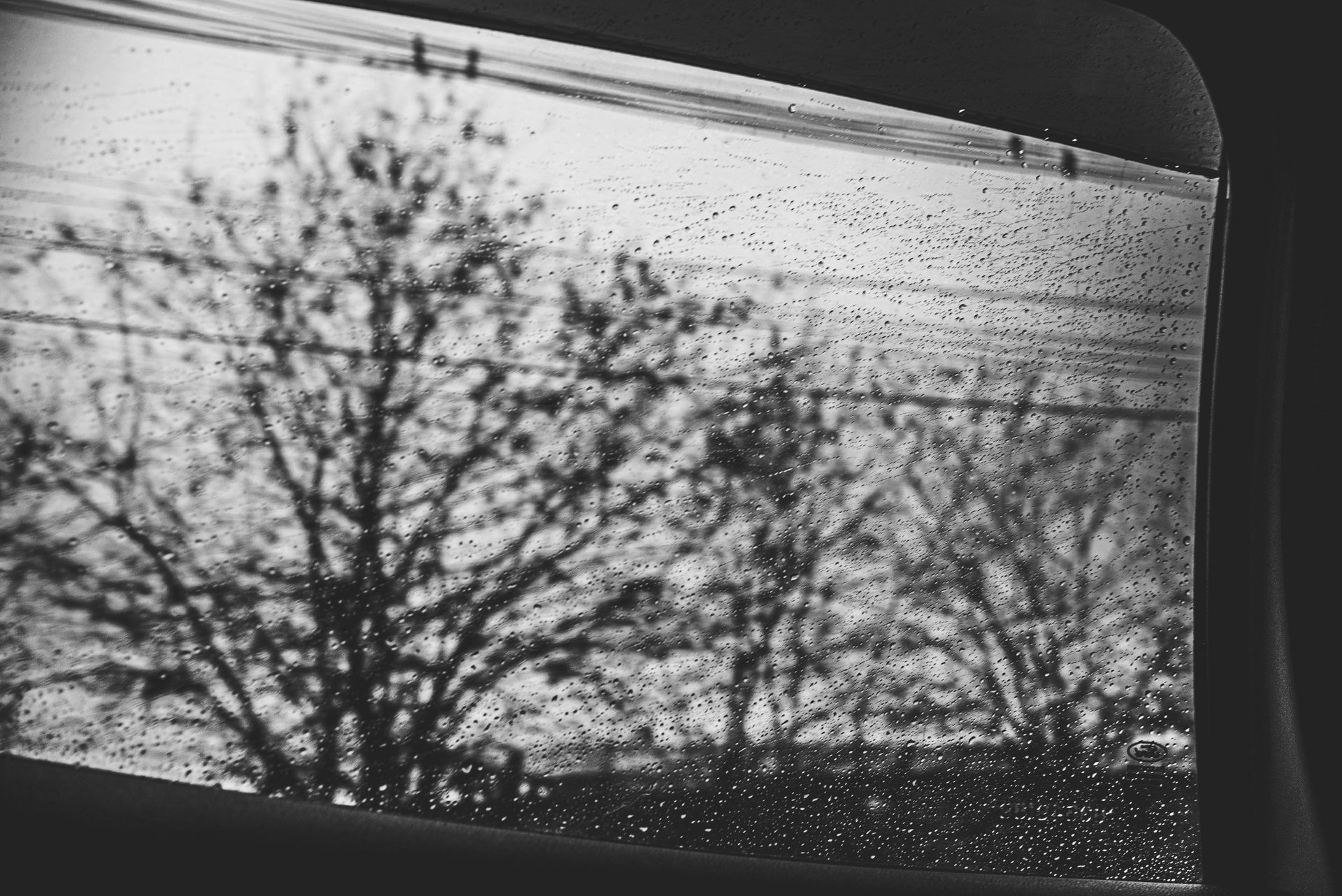 Documental dos meus avós - 2 - 2