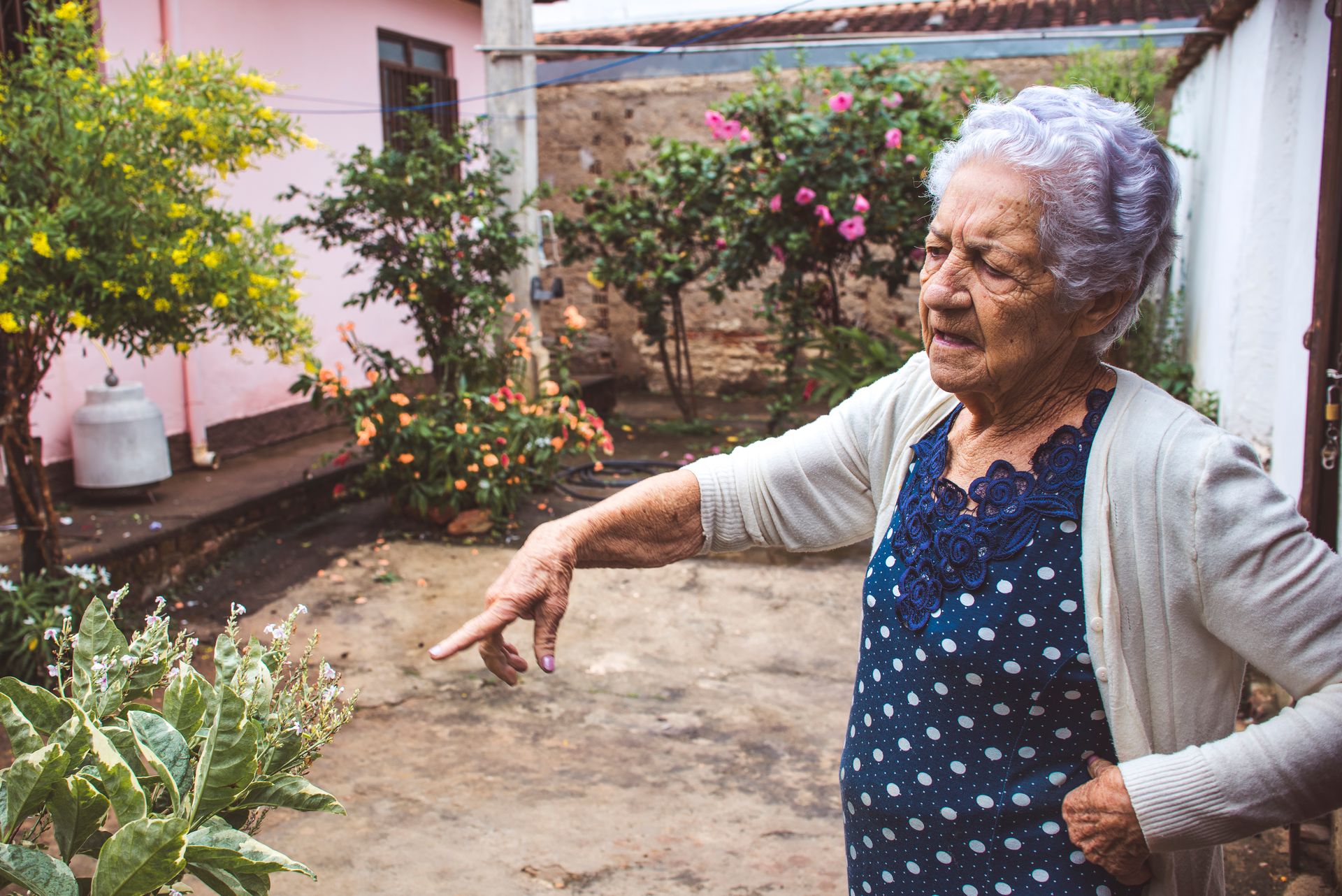 Documental dos meus avós - 2 - 55