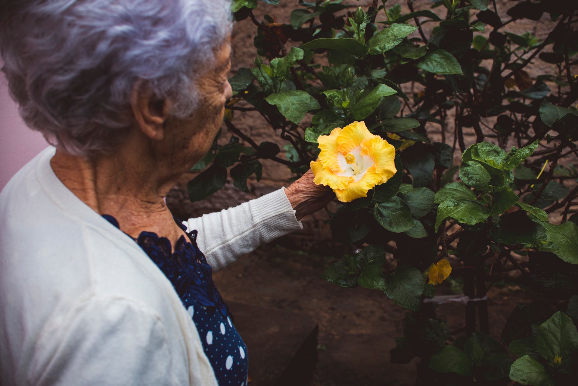 Documental dos meus avós - 2 - 58
