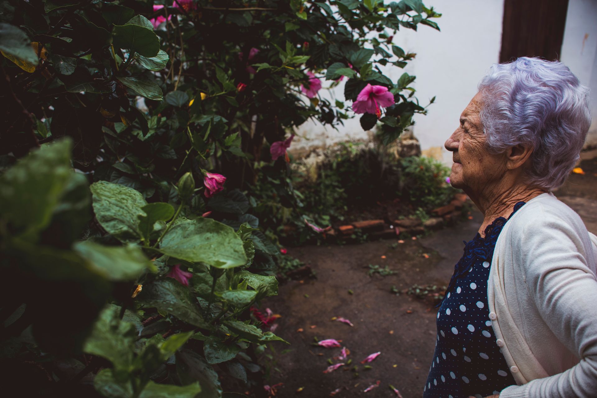 Documental dos meus avós - 2 - 60