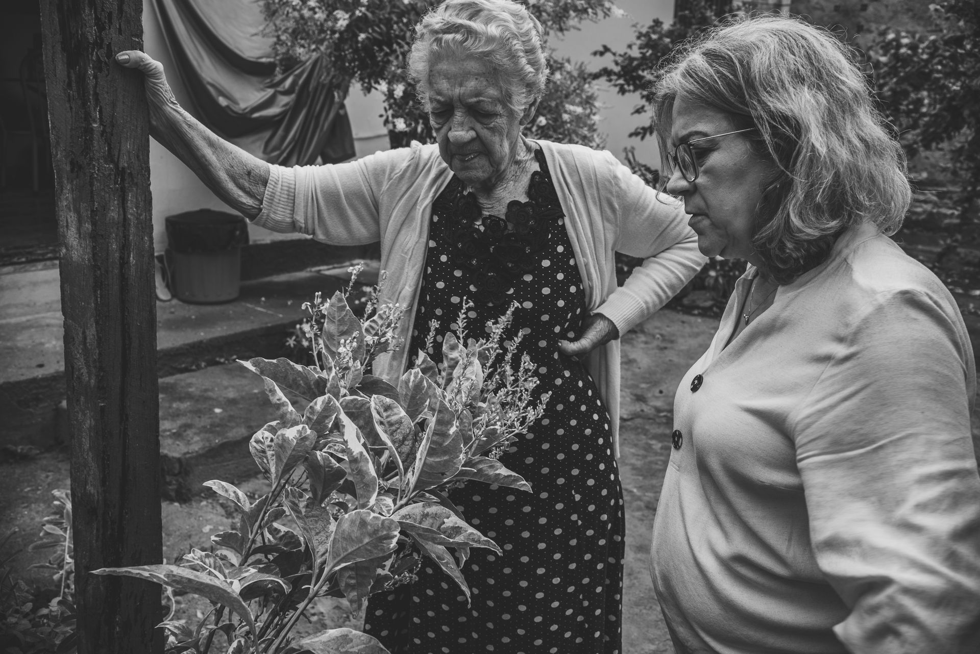 Documental dos meus avós - 2 - 65