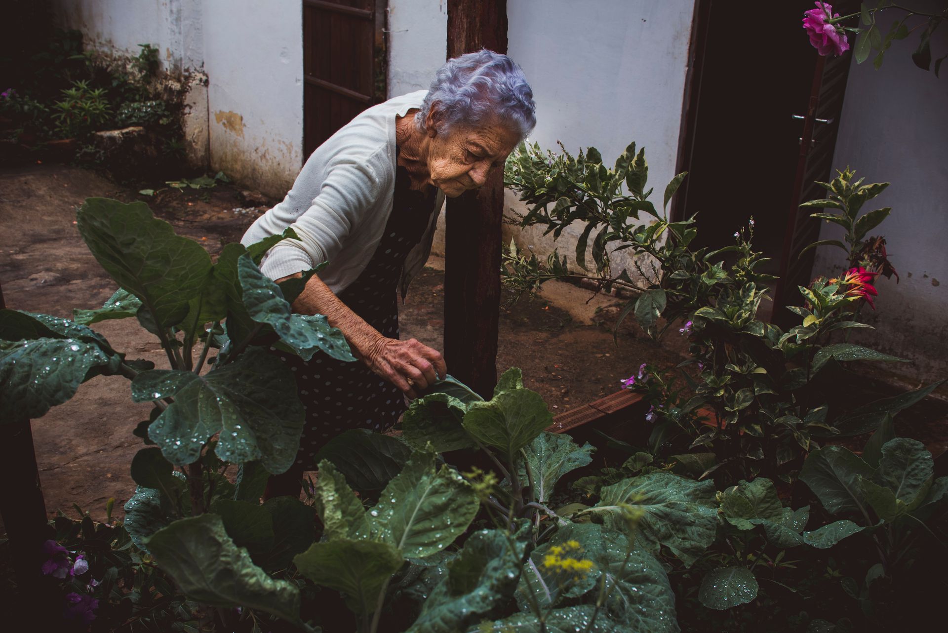 Documental dos meus avós - 2 - 67