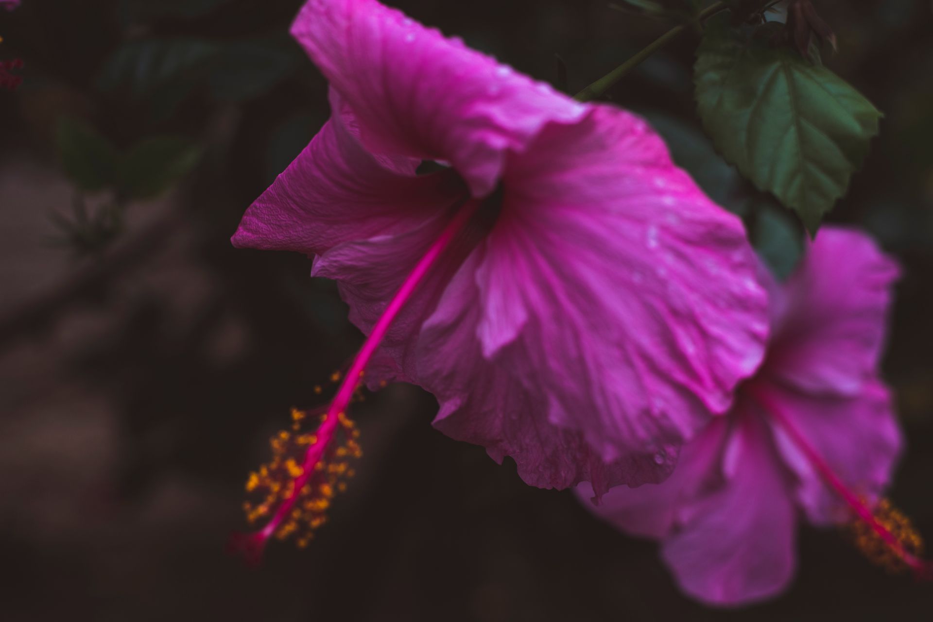 Documental dos meus avós - 2 - 71