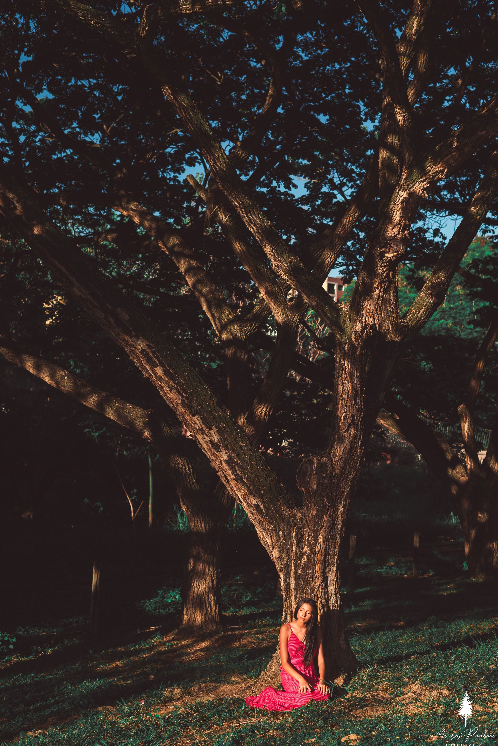 Ensaio de 15 anos no Parque Ipanema - 3 - 15