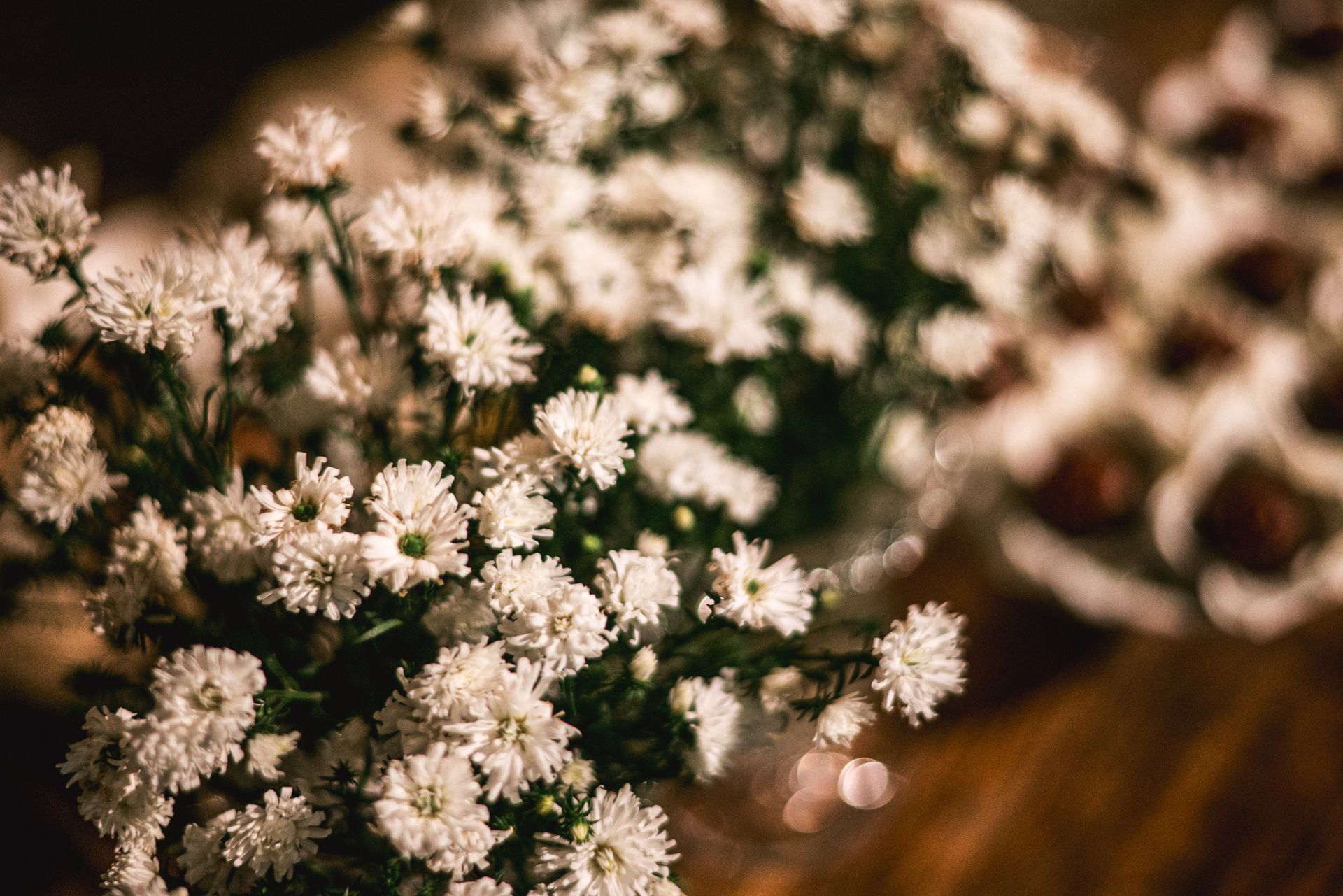 CASAMENTO ARTHUR E ISABELA - 3 - 5