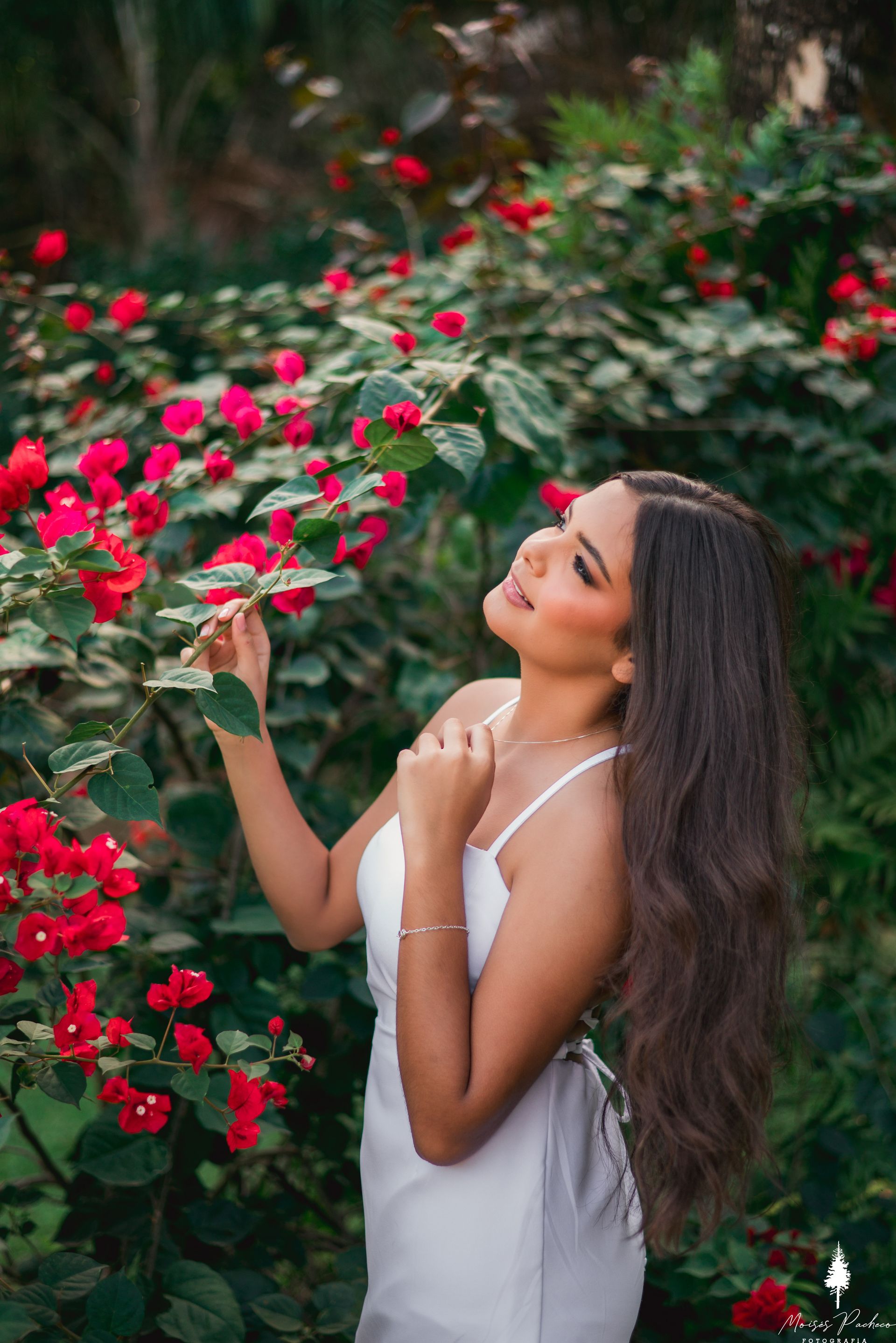 Ensaio de 15 anos no Portal da Serra - 2 - 31