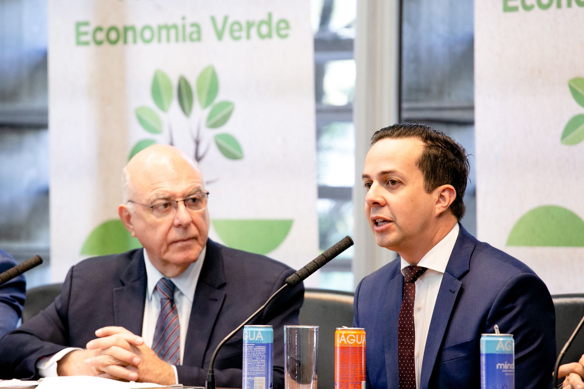 Seminário Frente da Economia Verde - São Paulo SP - 2 - 13