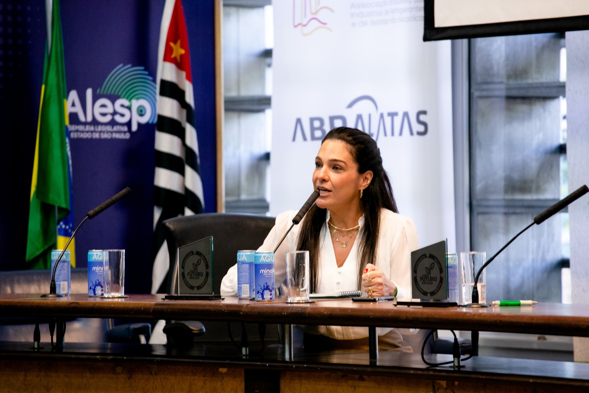 Seminário Frente da Economia Verde - São Paulo SP - 2 - 26