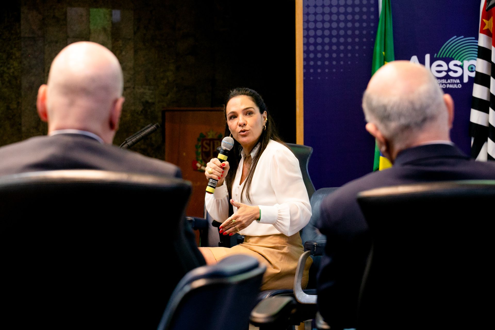 Seminário Frente da Economia Verde - São Paulo SP - 2 - 27