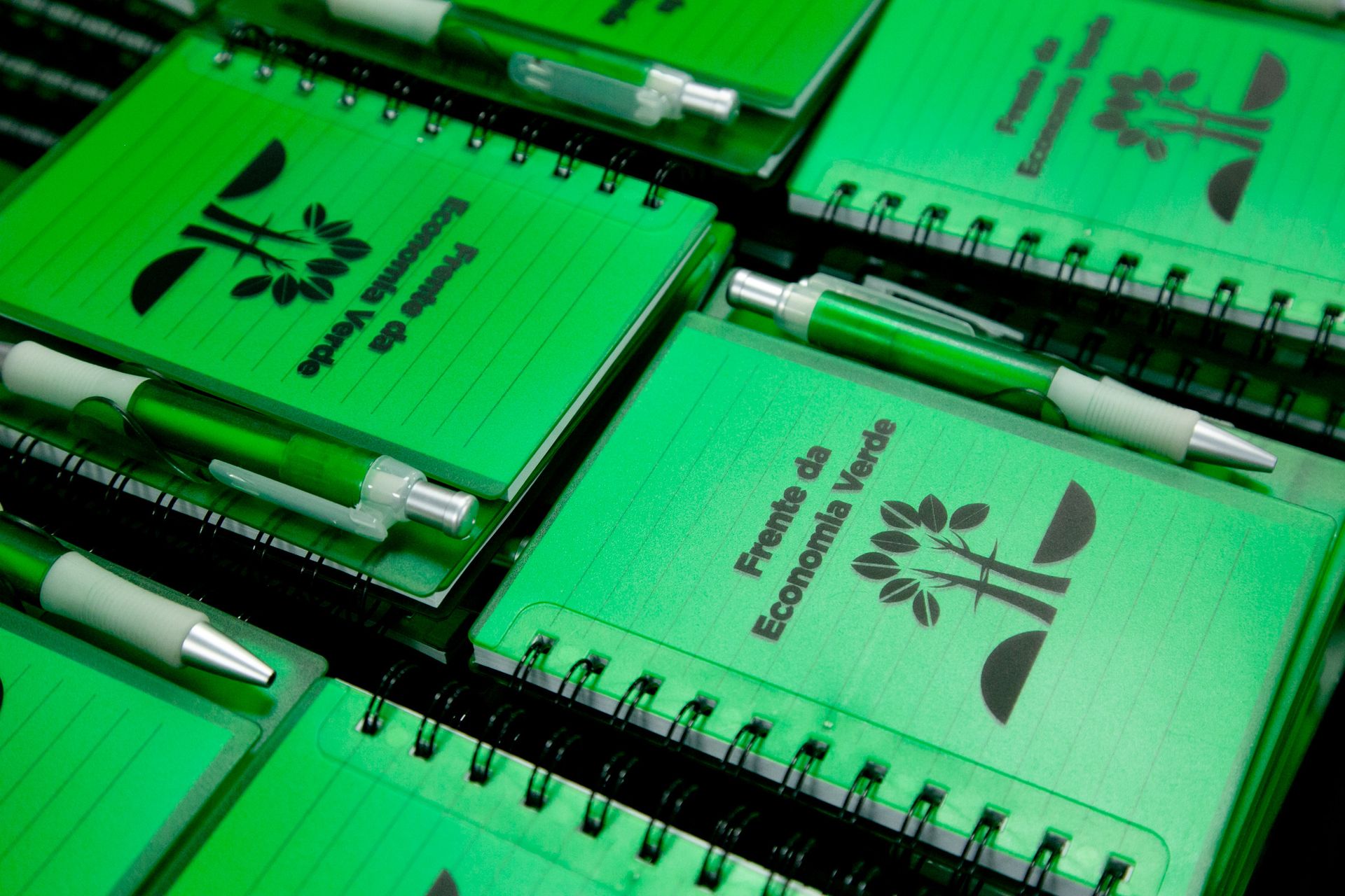 Seminário Frente da Economia Verde - São Paulo SP - 2 - 1