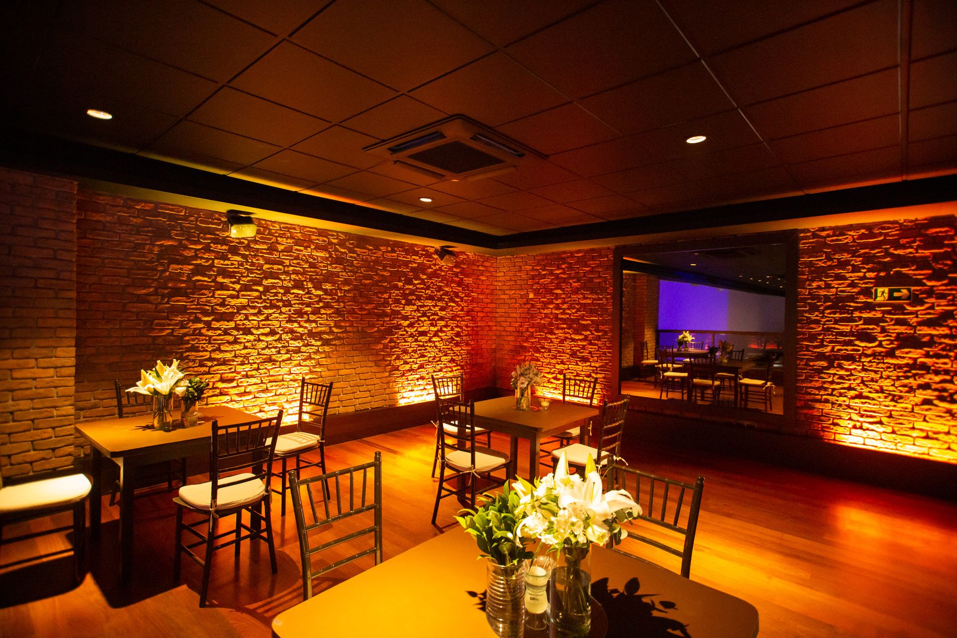 Lançamento Imecap Hair Max - São Paulo SP - 2 - 1