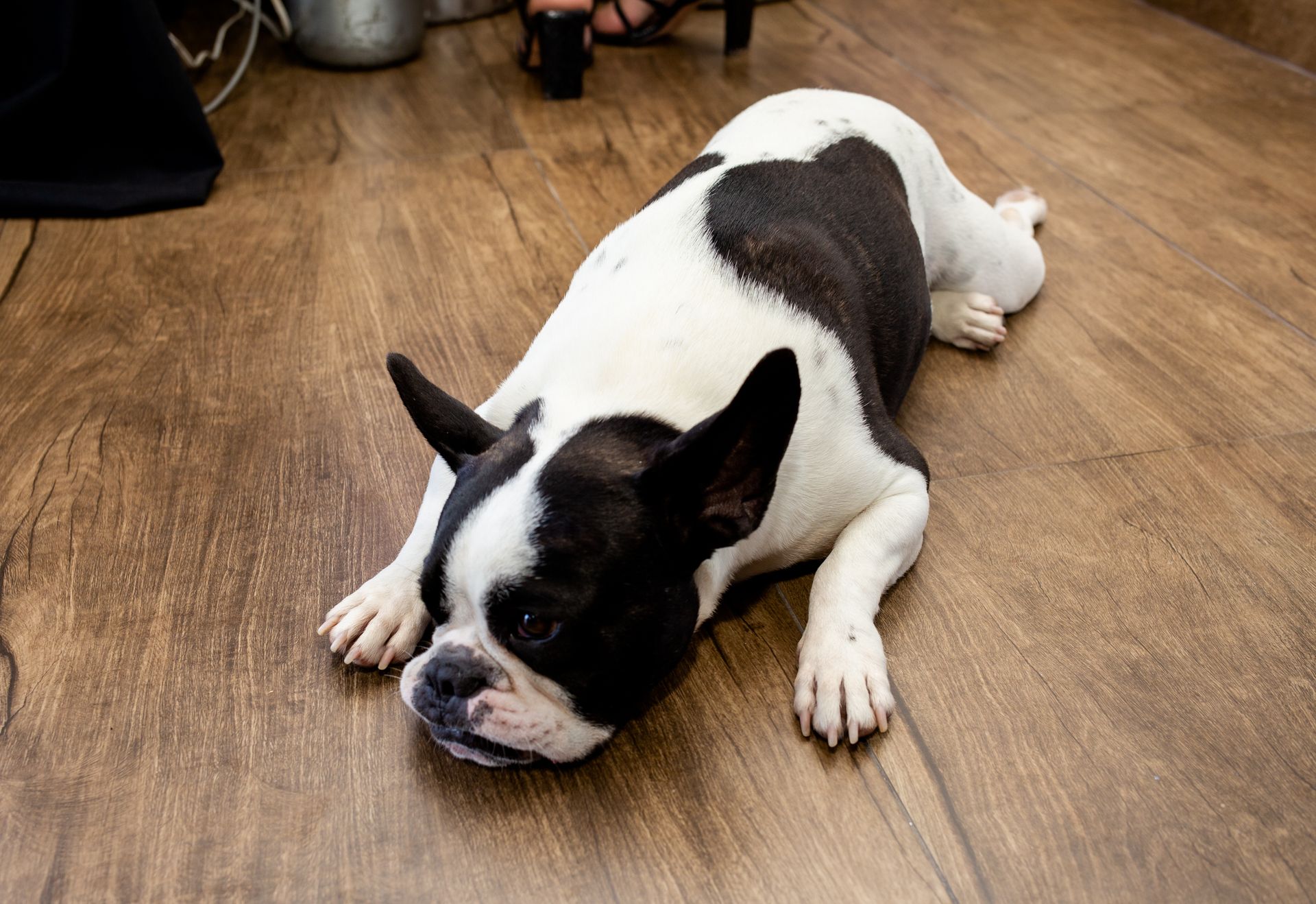 Aniversário da Fernanda - 2 - 13