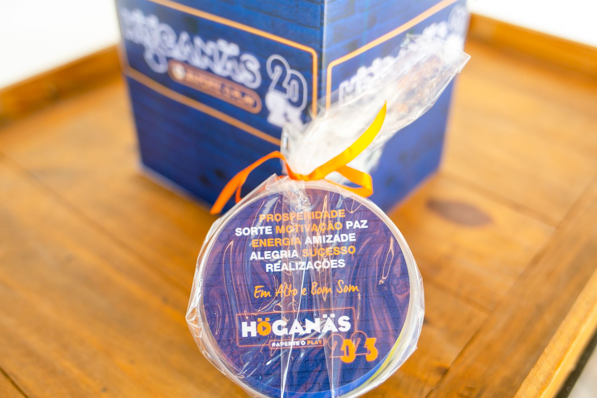 Evento de Confraternização da Hoganas em Mogi das Cruzes - SP - 2 - 1