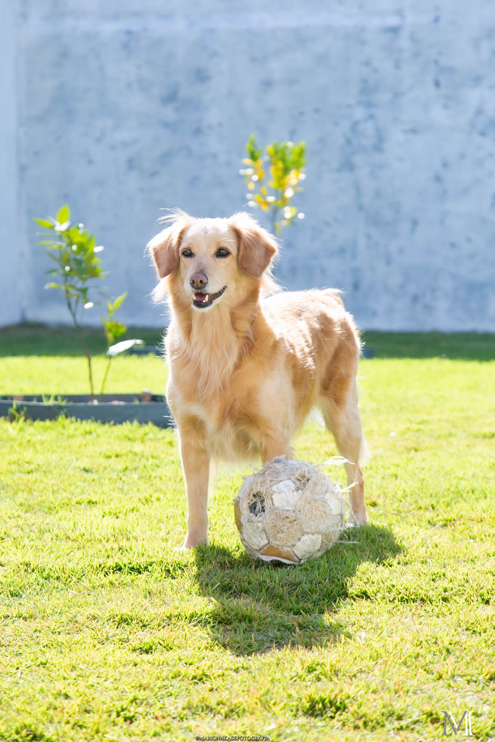 Batizado Clarinha - 2 - 56