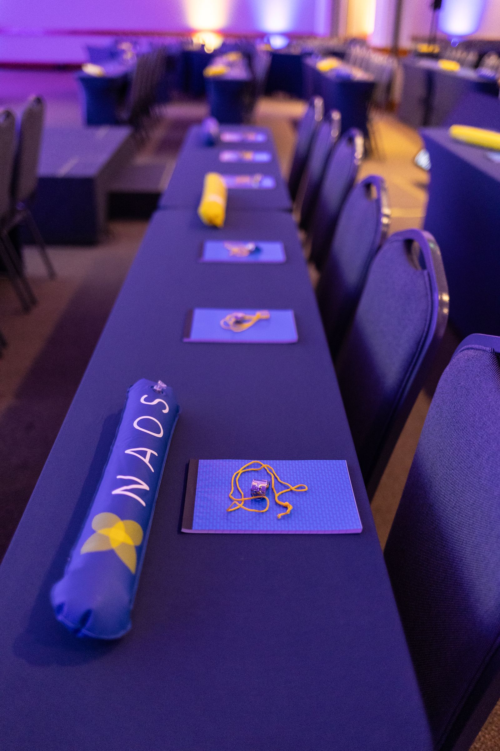 Evento NAOS 2024- SP - 2 - 1