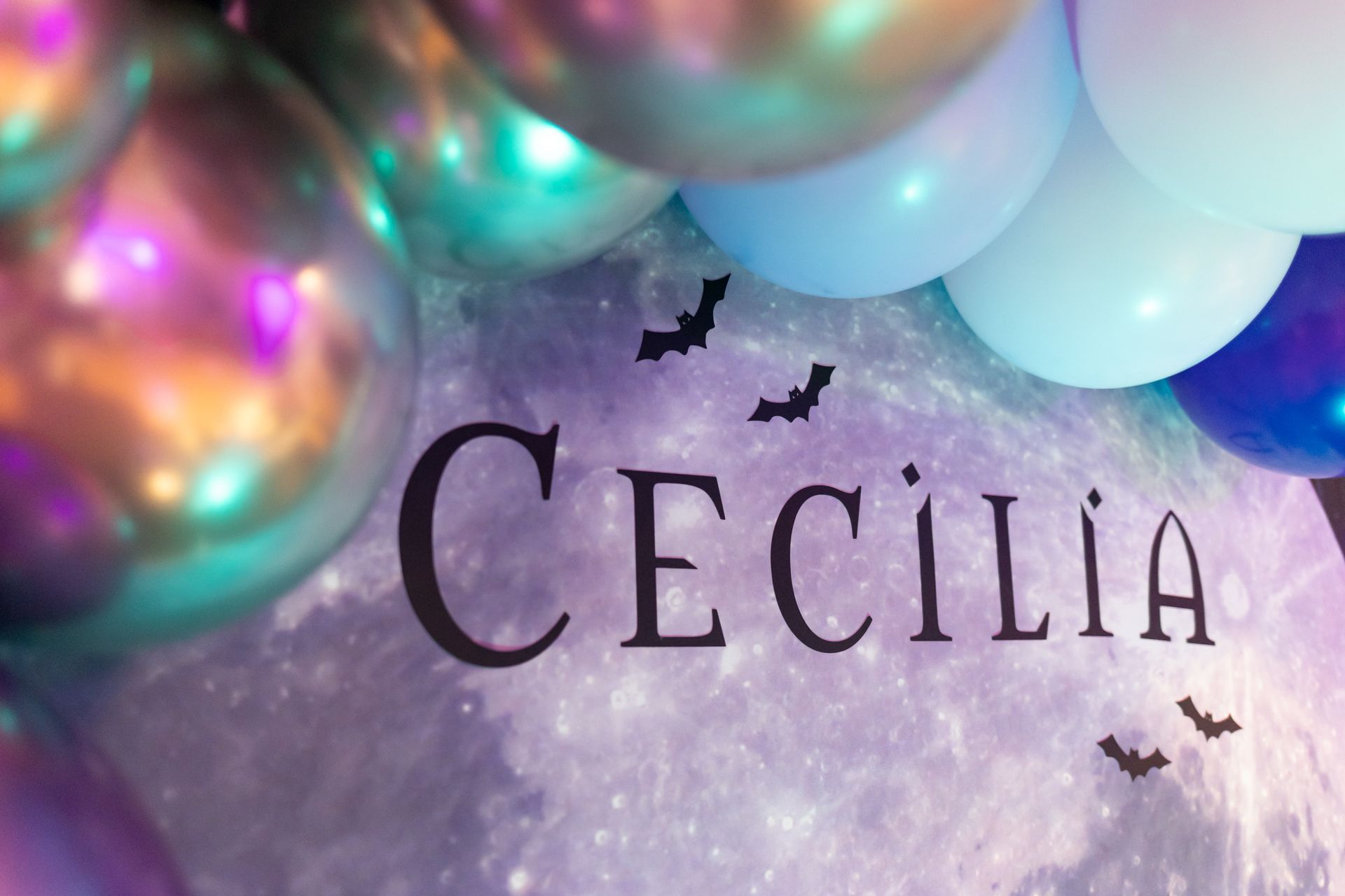 Aniversário da Cecilia - 2 - 17