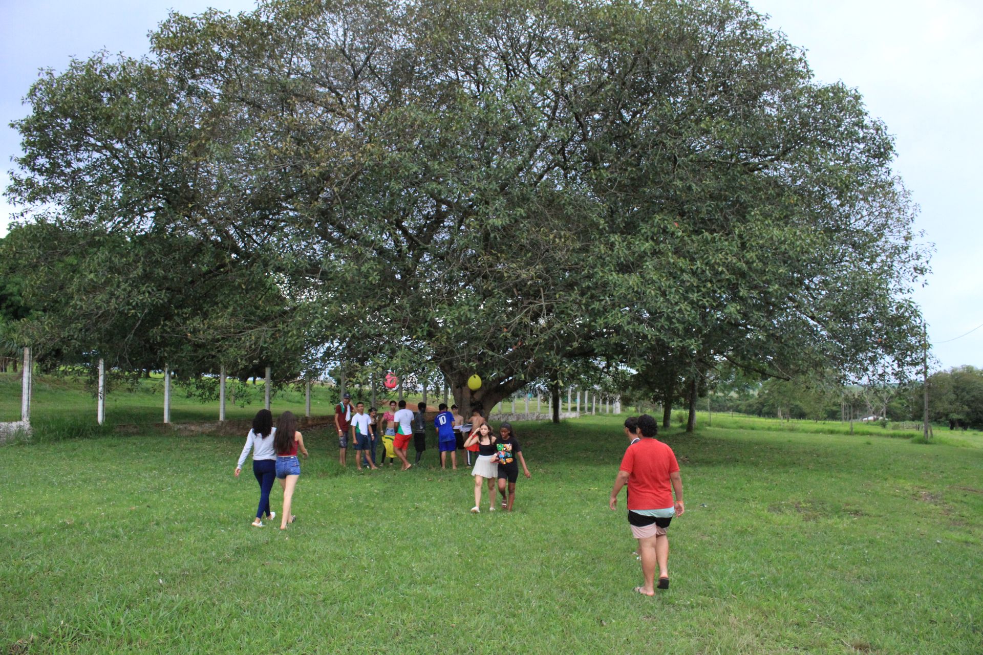 Festa da Integração dos 1º anos - 2 - 753