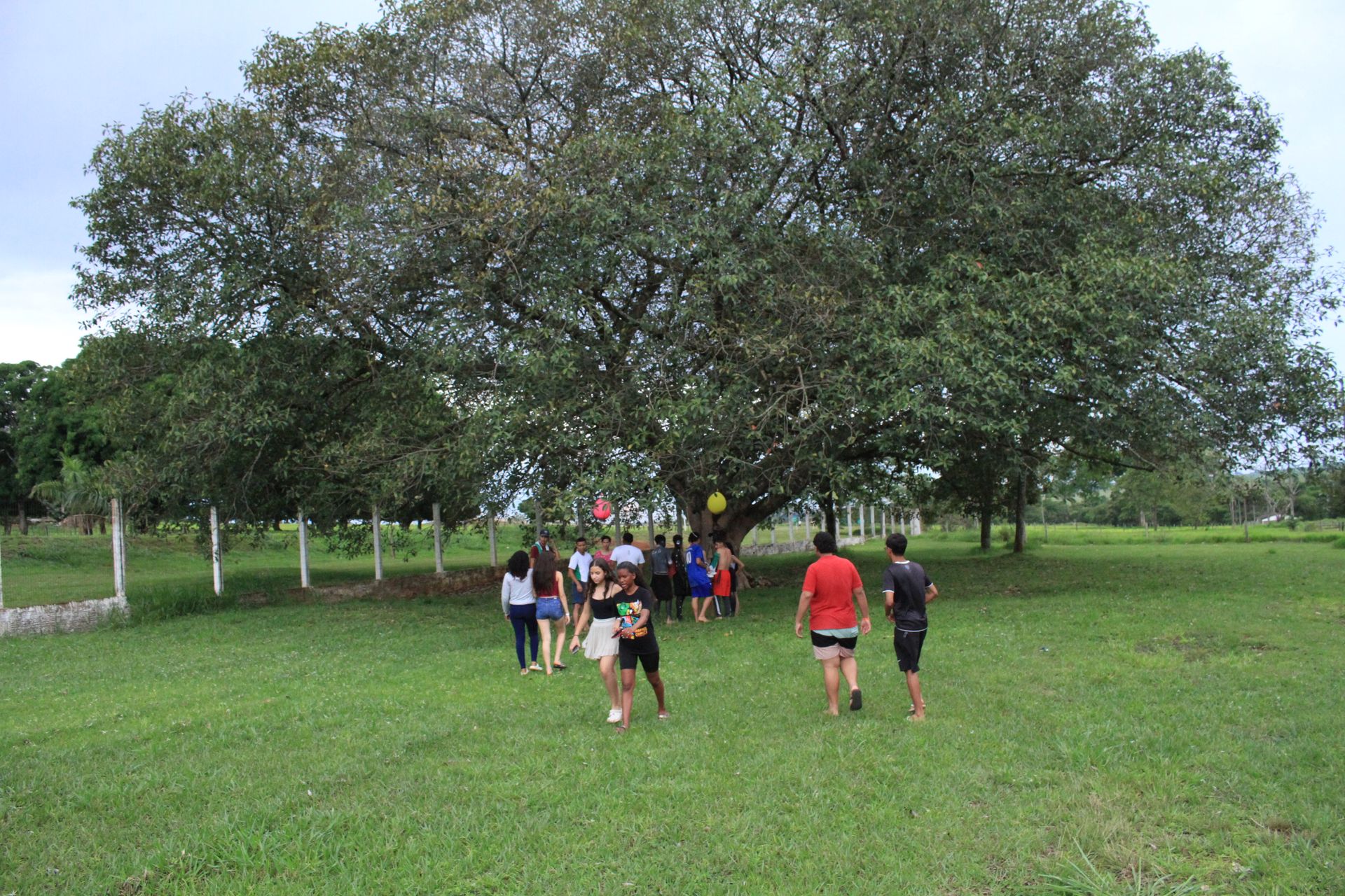 Festa da Integração dos 1º anos - 2 - 754