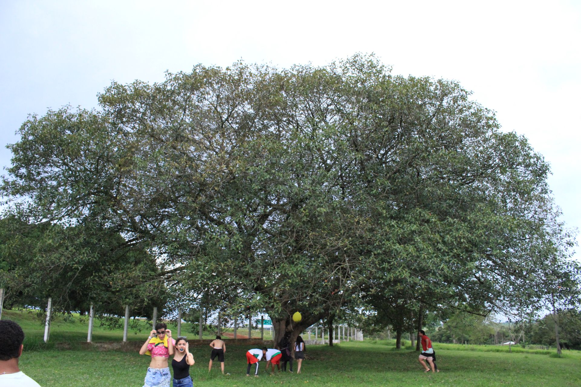 Festa da Integração dos 1º anos - 2 - 760