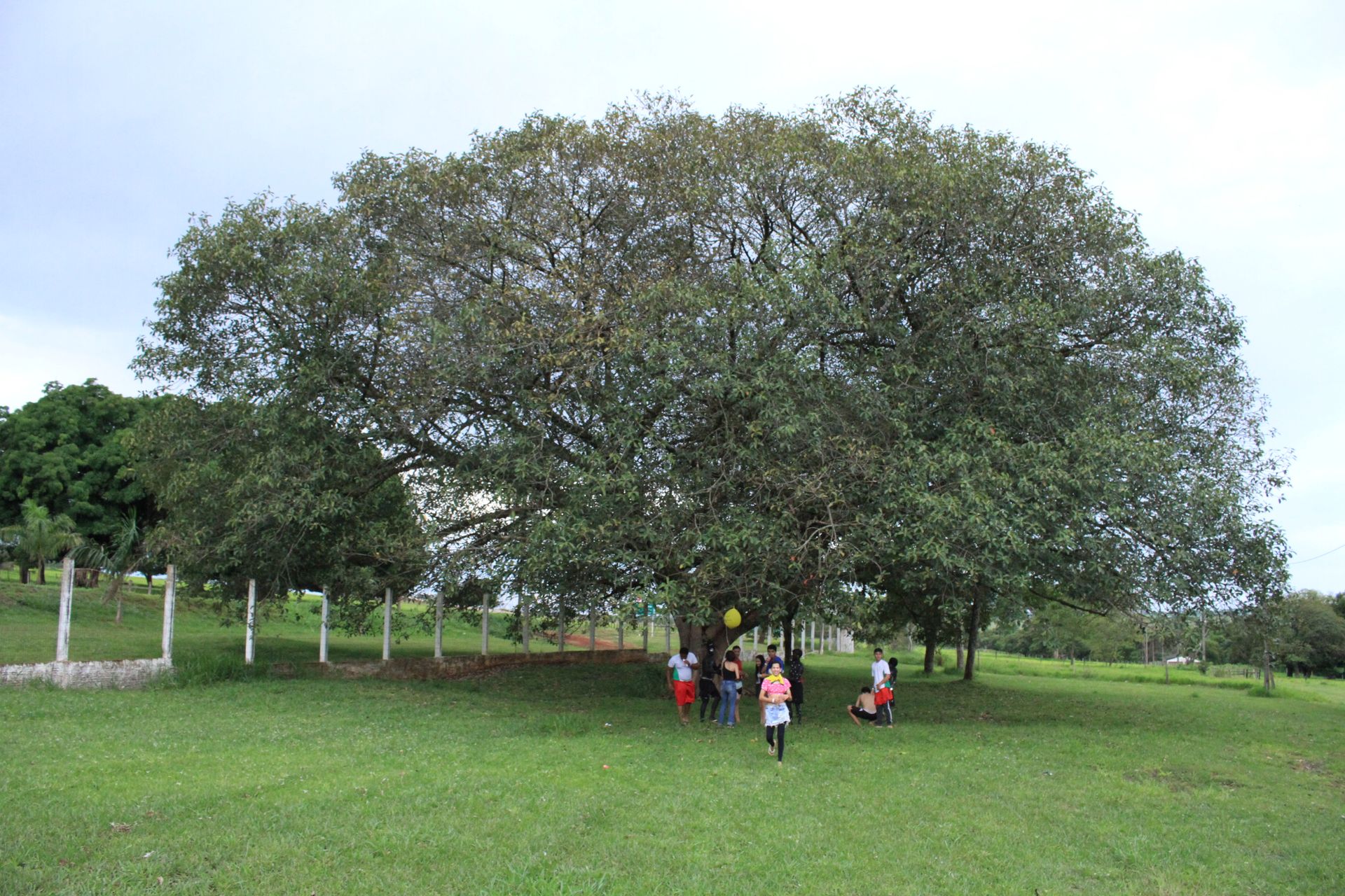 Festa da Integração dos 1º anos - 2 - 763