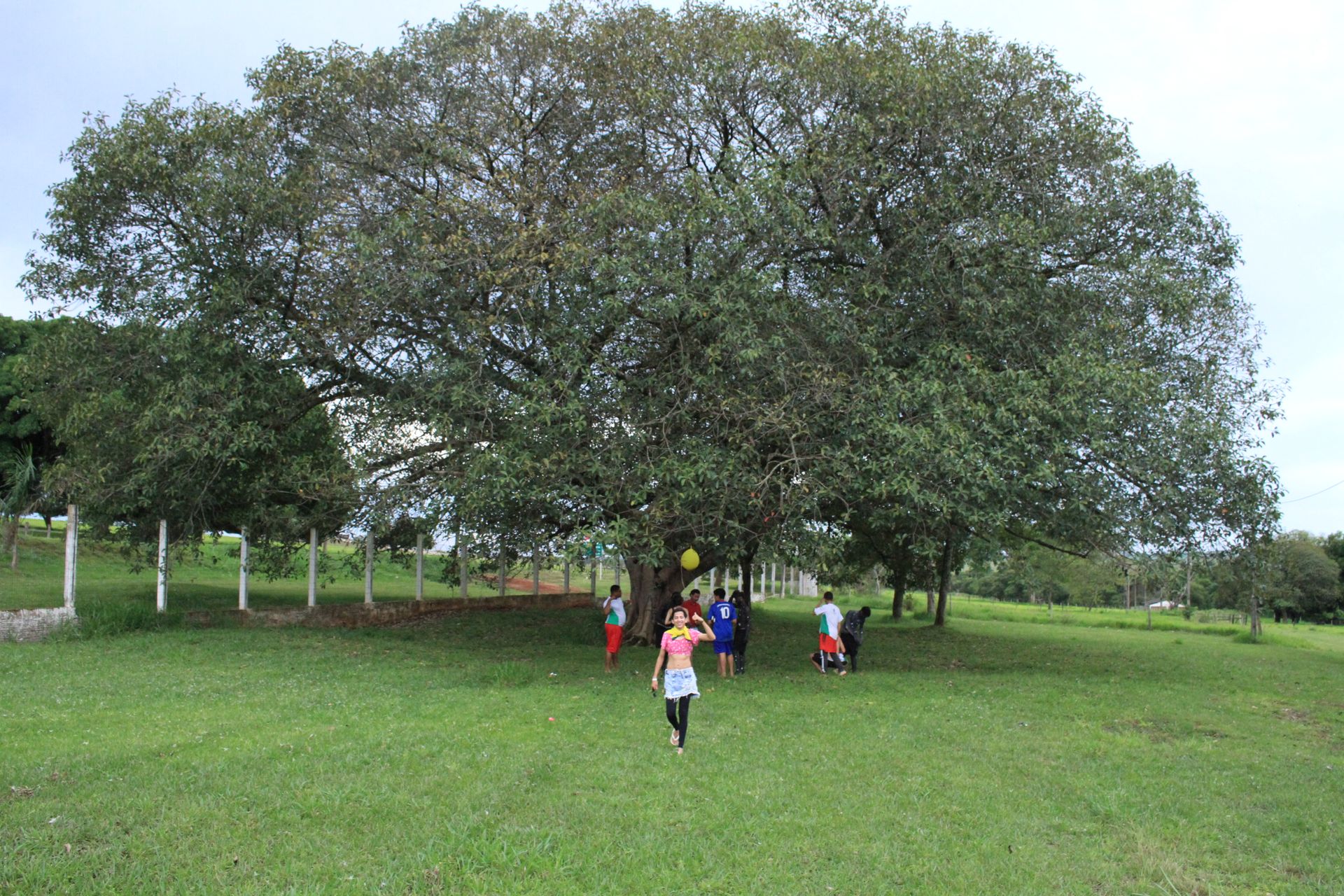 Festa da Integração dos 1º anos - 2 - 764