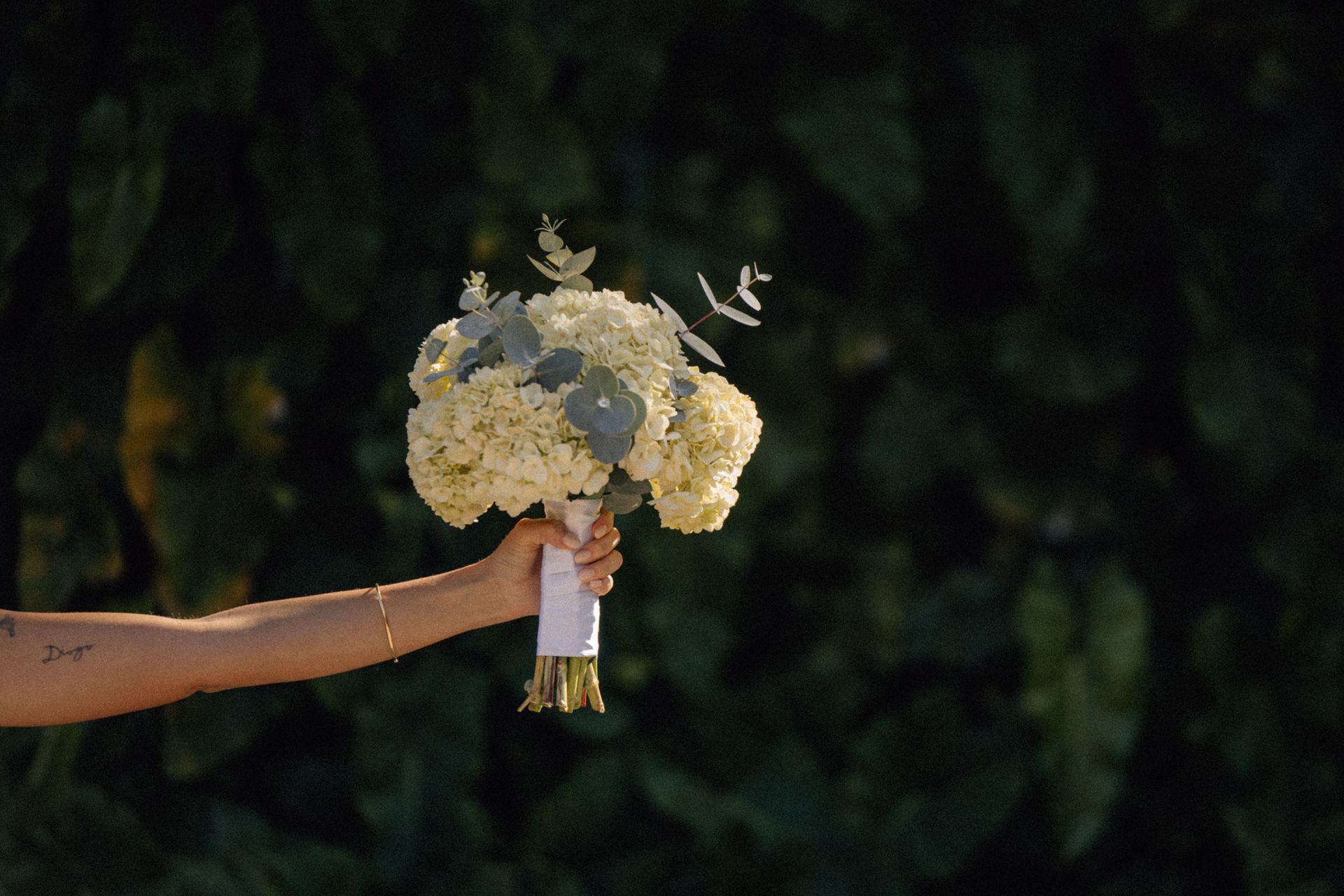 Casamento no Meio do Mato Eventos de Amanda e Antonio - 1 - 1