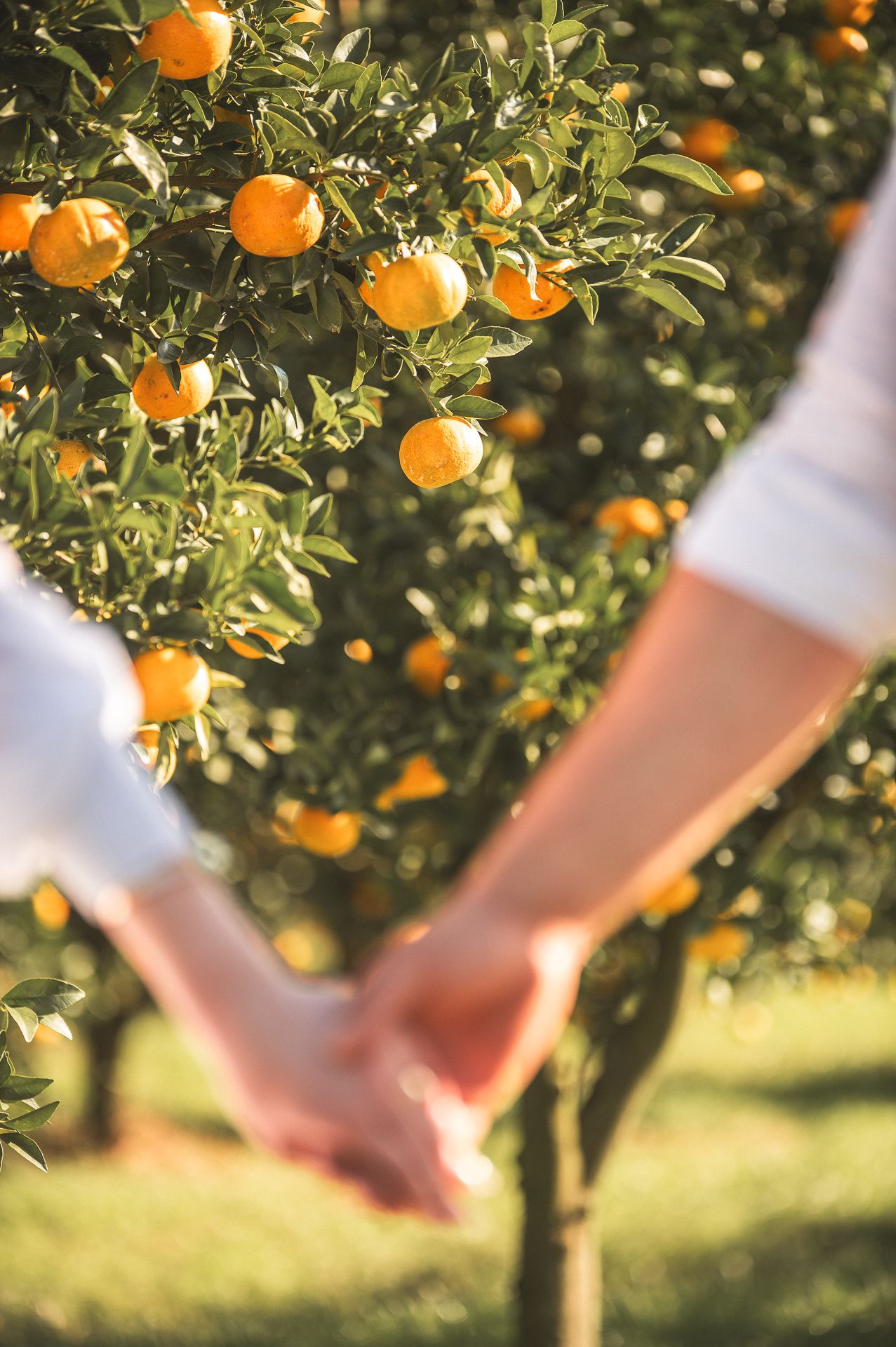 Ensaio Pré Casamento Denise e Vinícios Ninho das Águias - Nova Petrópolis - 2 - 0