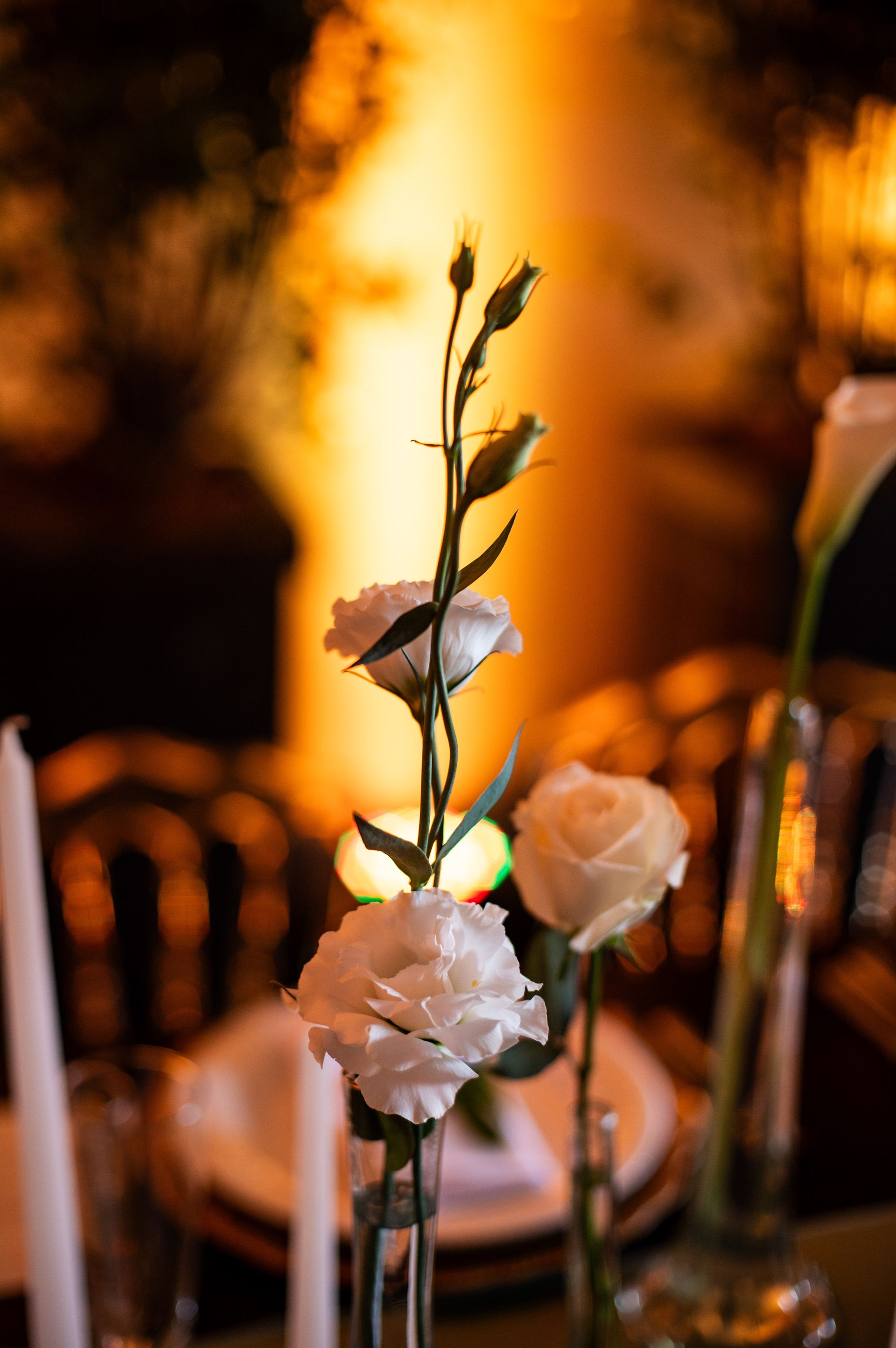 Fotógrafa de Eventos, Feliz, Caxias do Sul, Porto Alegre - RS, Cristine Schmitz - 1 - 1