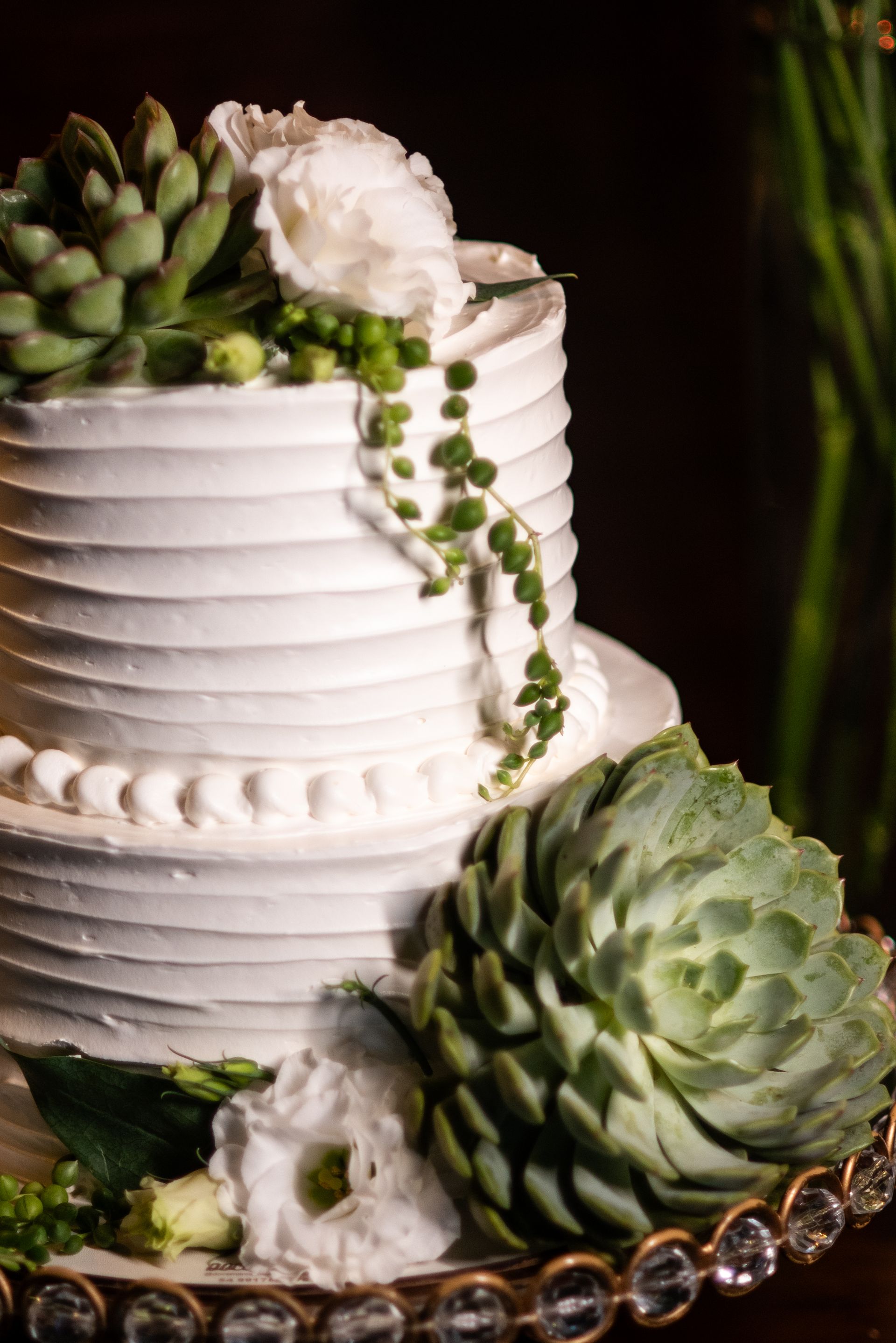 Fotógrafa de Eventos, Feliz, Caxias do Sul, Porto Alegre - RS, Cristine Schmitz - 1 - 3