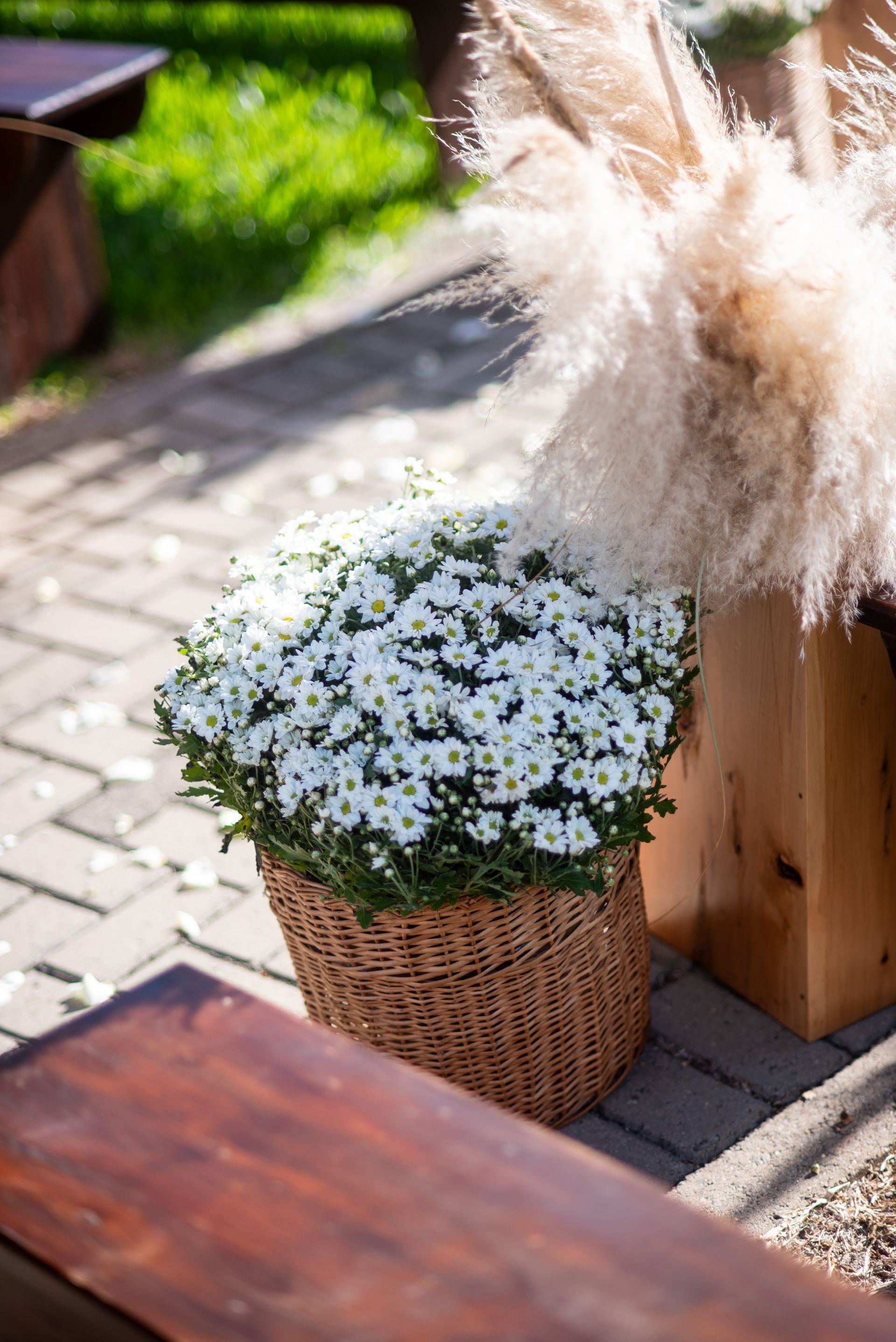 Fotógrafa de Eventos, Feliz, Caxias do Sul, Porto Alegre - RS, Cristine Schmitz - 1 - 1