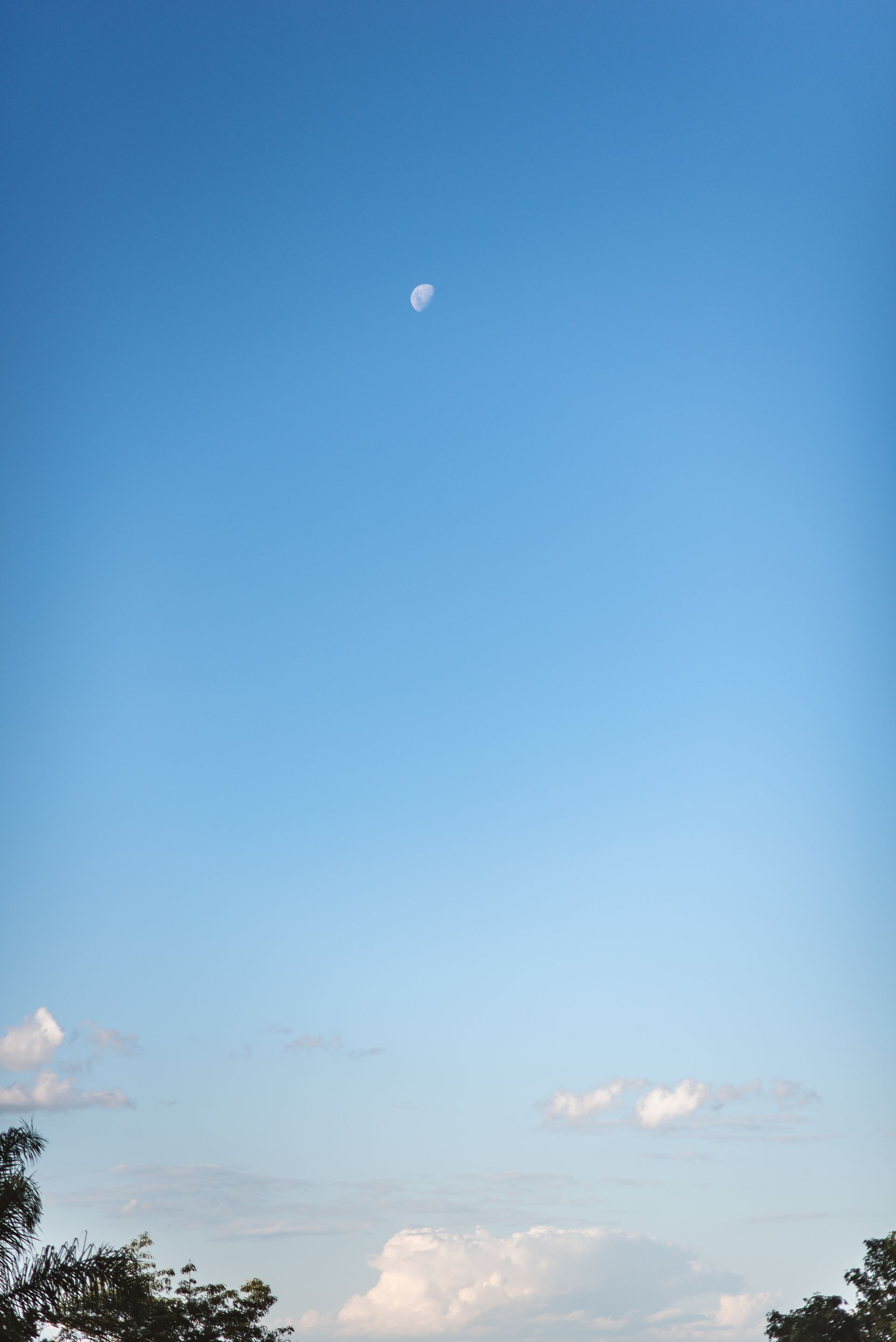 Fotógrafa de Eventos, Feliz, Caxias do Sul, Porto Alegre - RS, Cristine Schmitz - 1 - 2