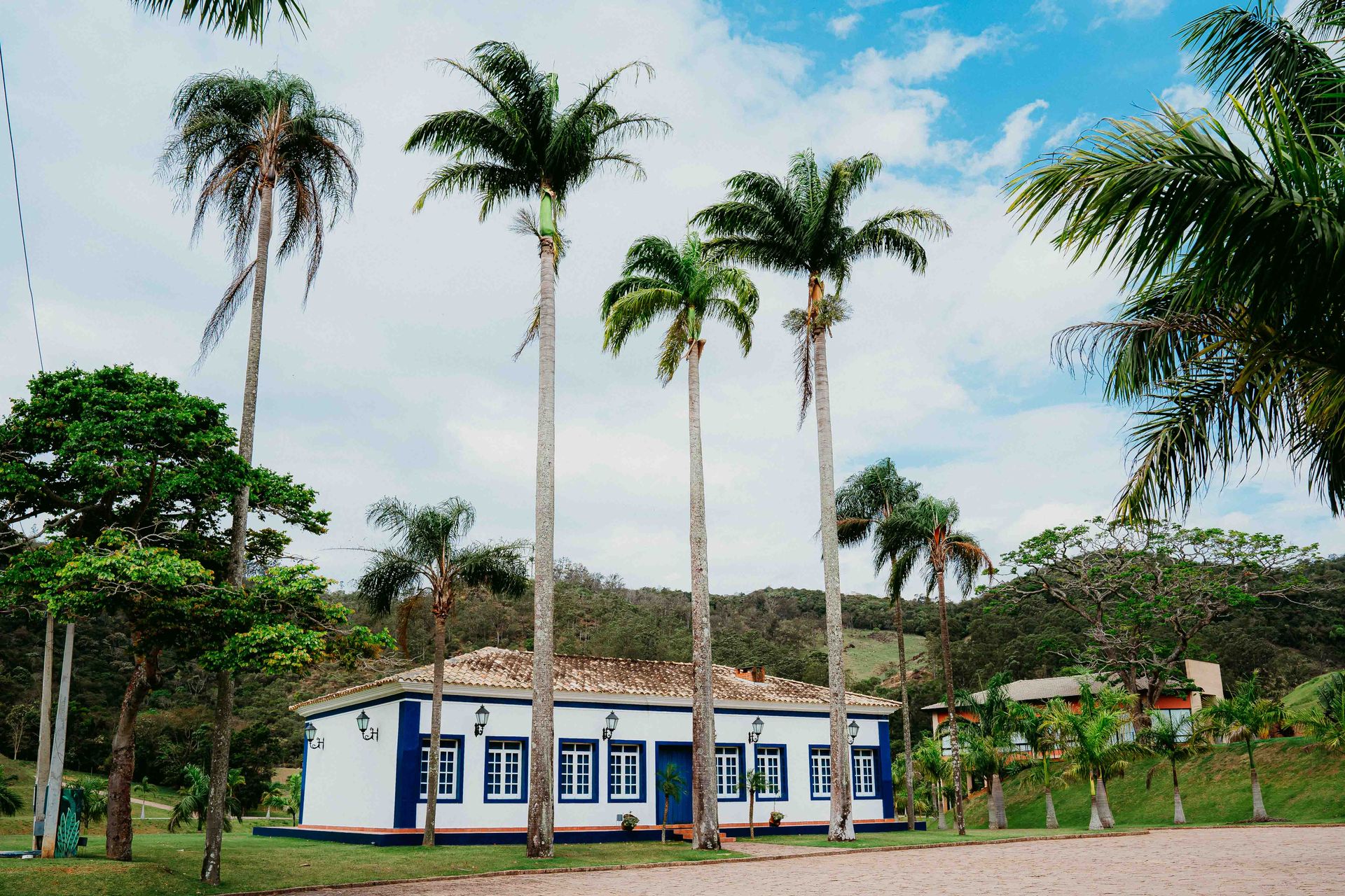 Monise + Murilo - Casamento - 2 - 17