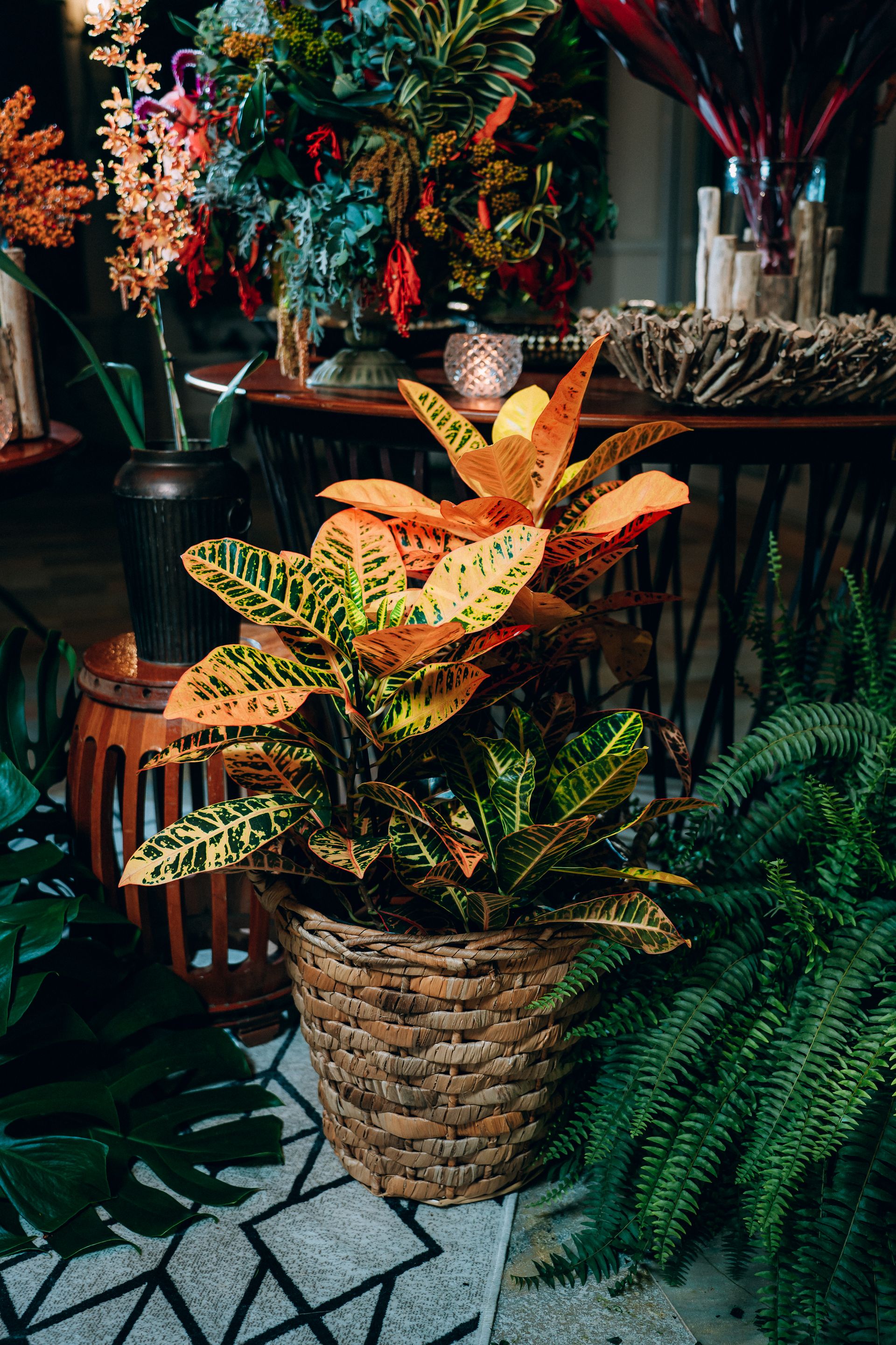 Casamento na Fazenda Quinta dos Pinheiros - 2 - 233