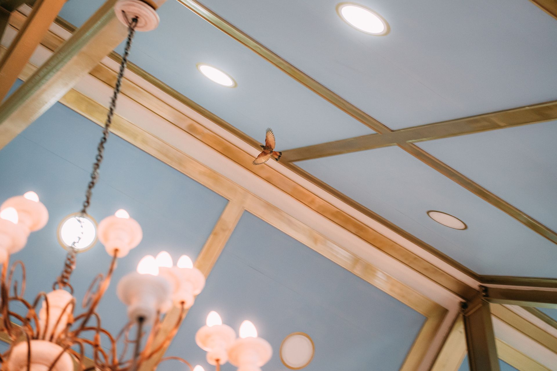 Casamento na Fazenda Quinta dos Pinheiros - 2 - 50