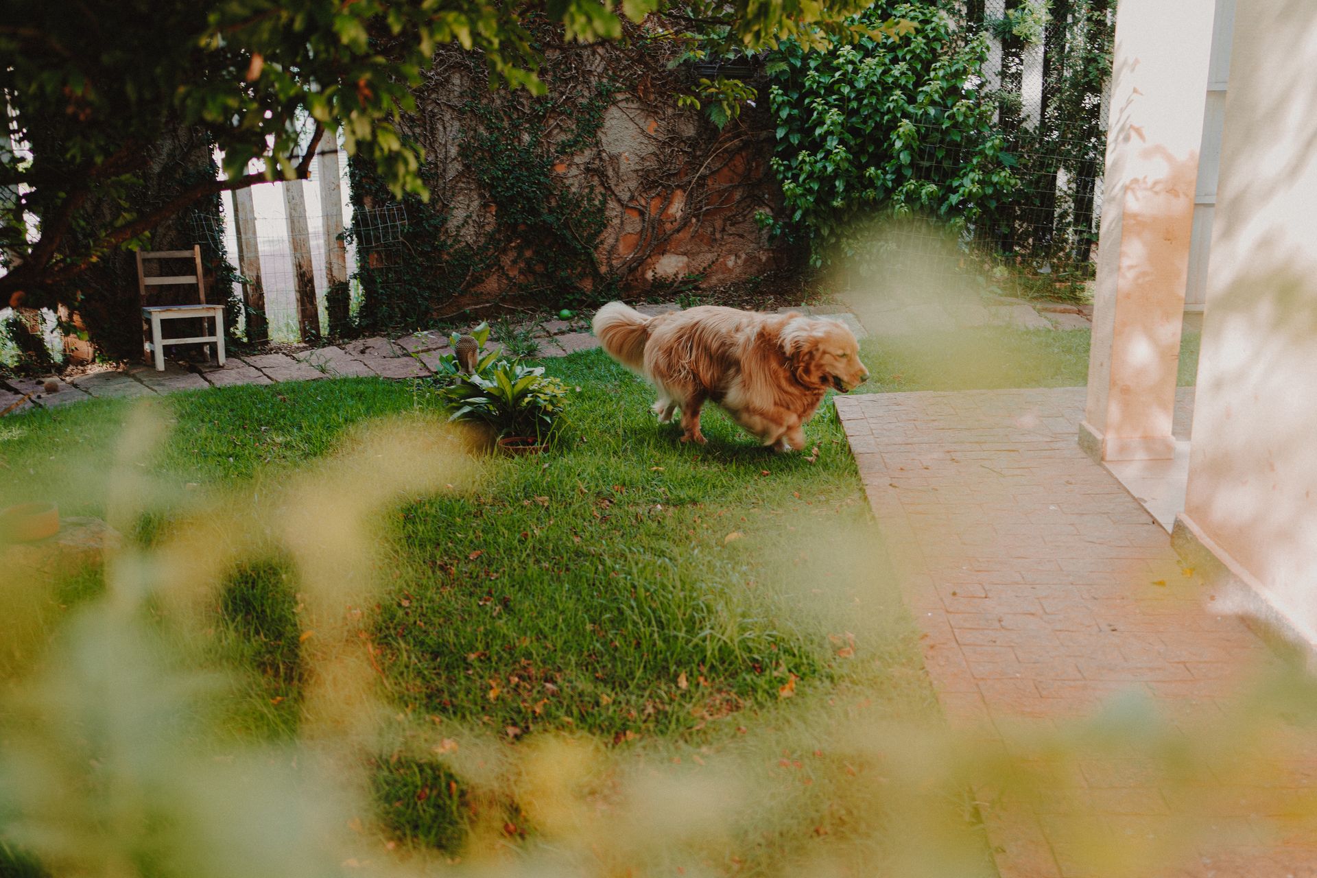 Ensaio Familia em casa - 2