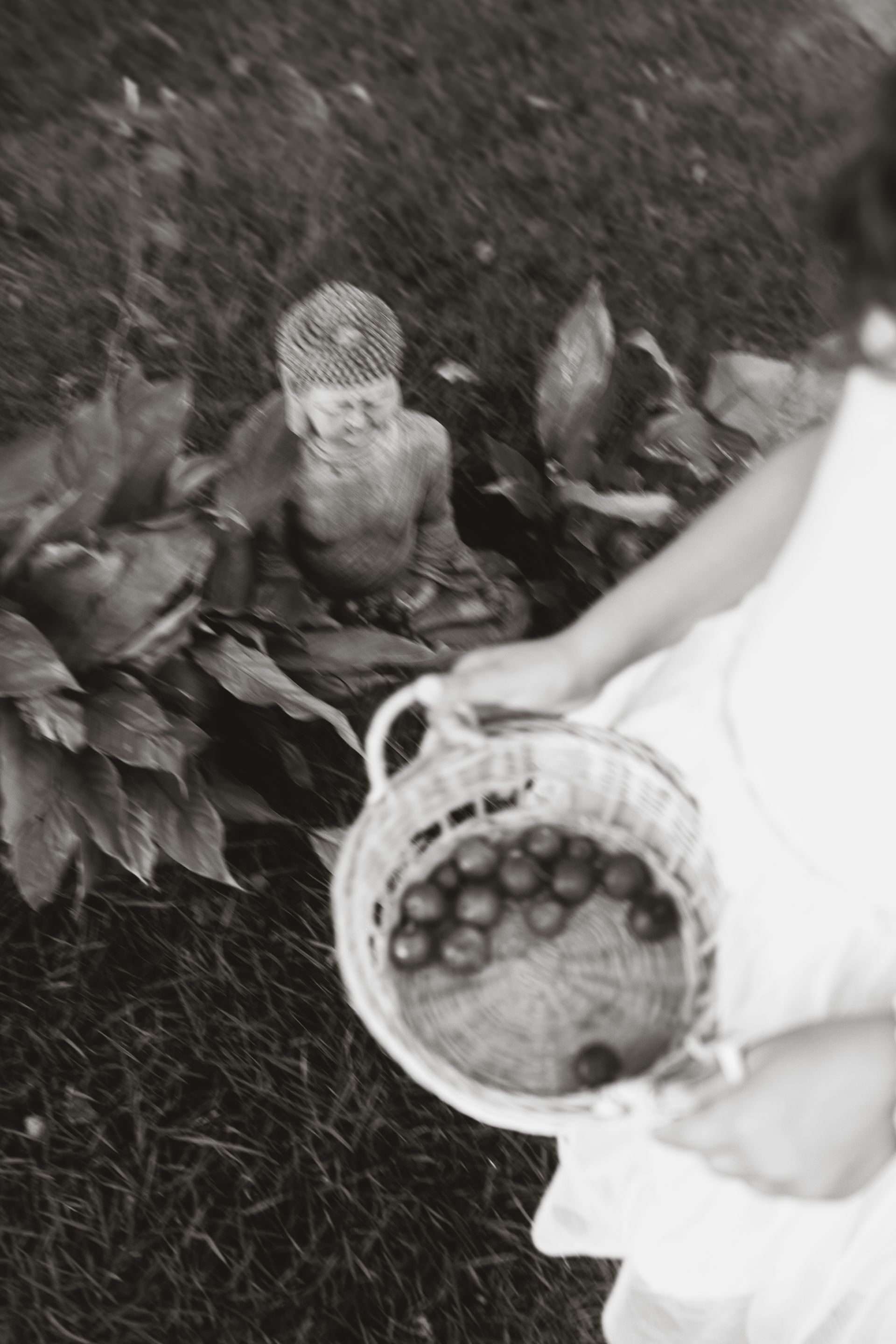 Ensaio Familia em casa - 7 - 1