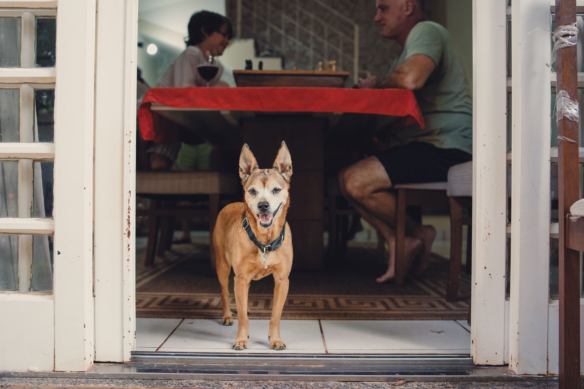 Ensaio Familia em casa - 11 - 2