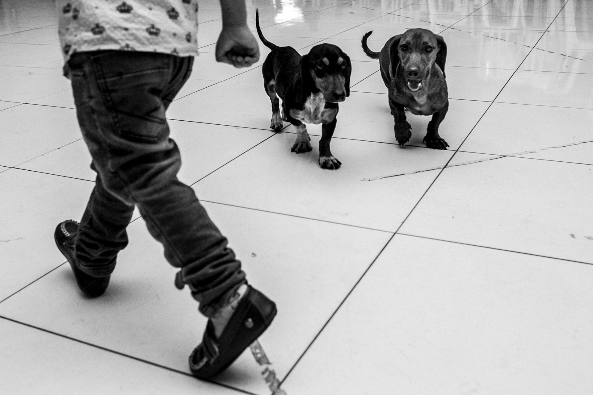 Casamento Chaiane e Wesley em Itamogi MG - 2 - 10